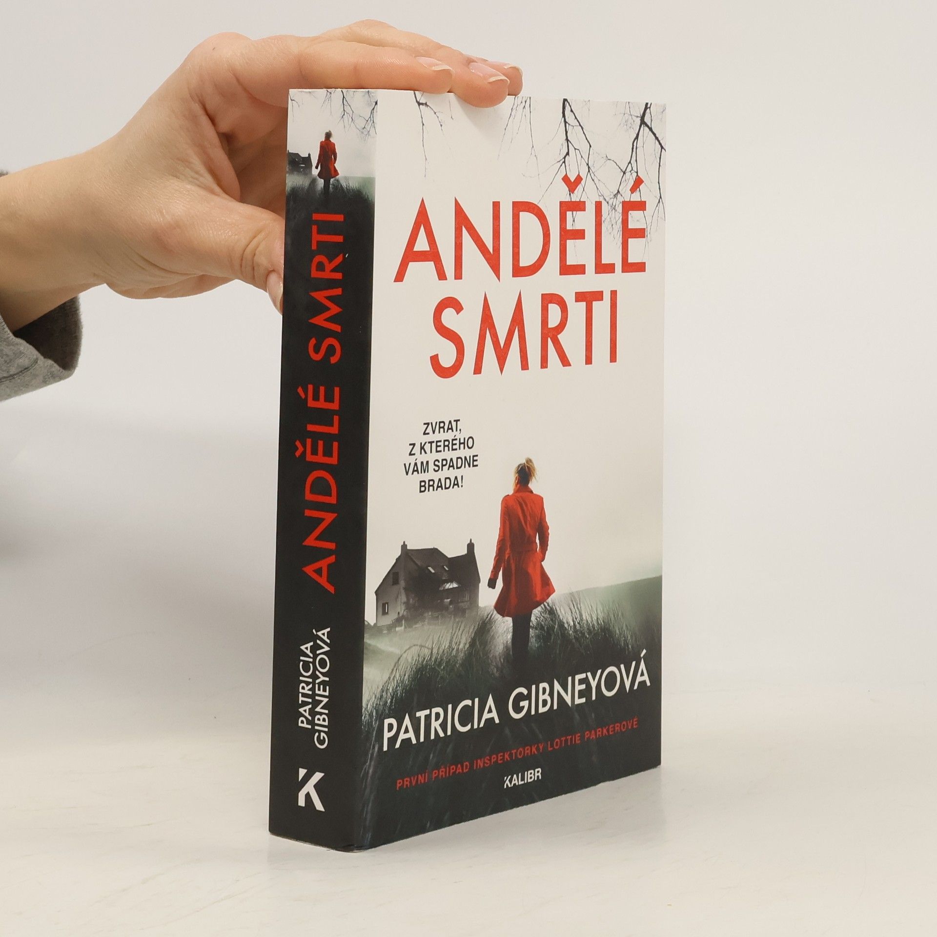 Patricia Gibney Andělé smrti