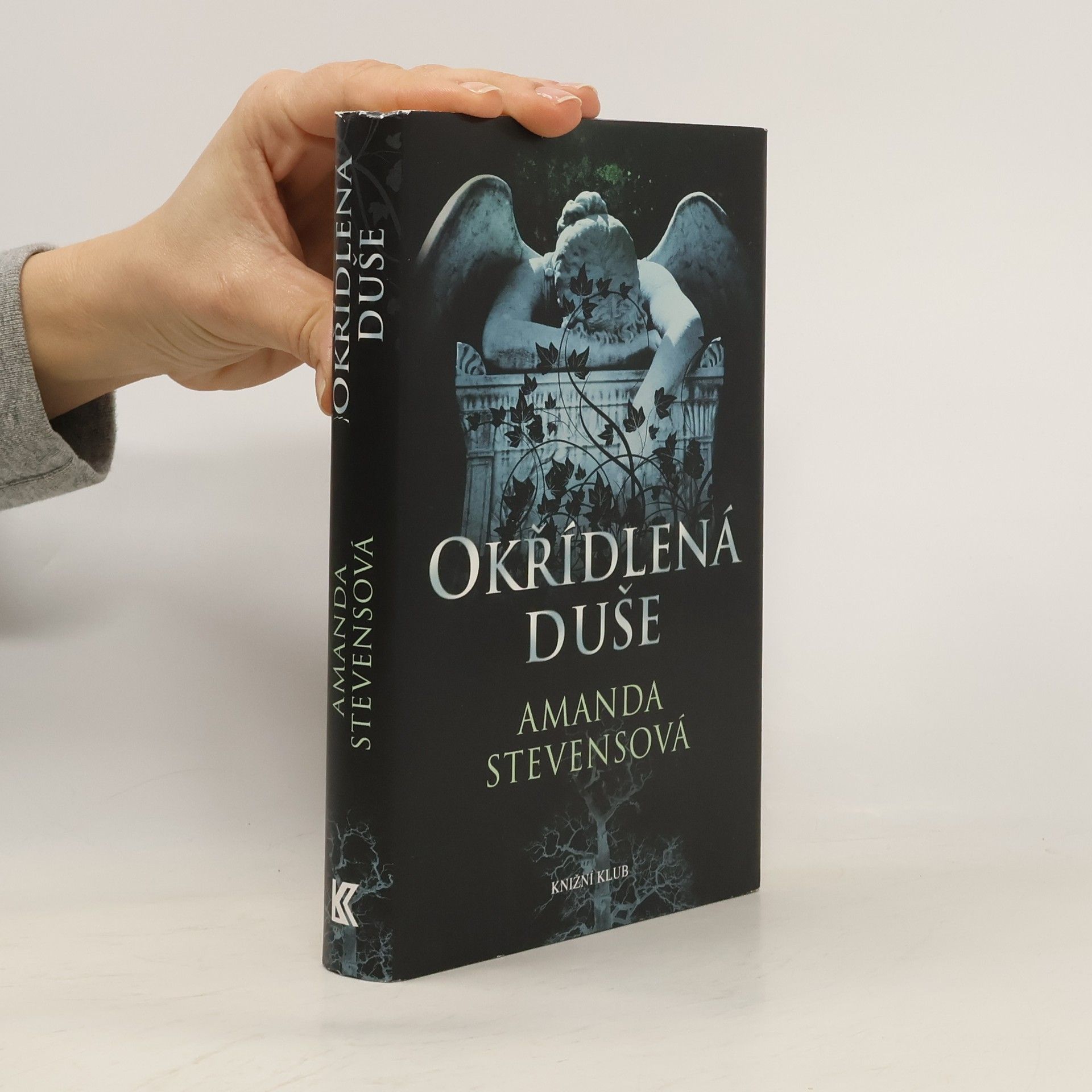 Amanda Stevens Okřídlená duše