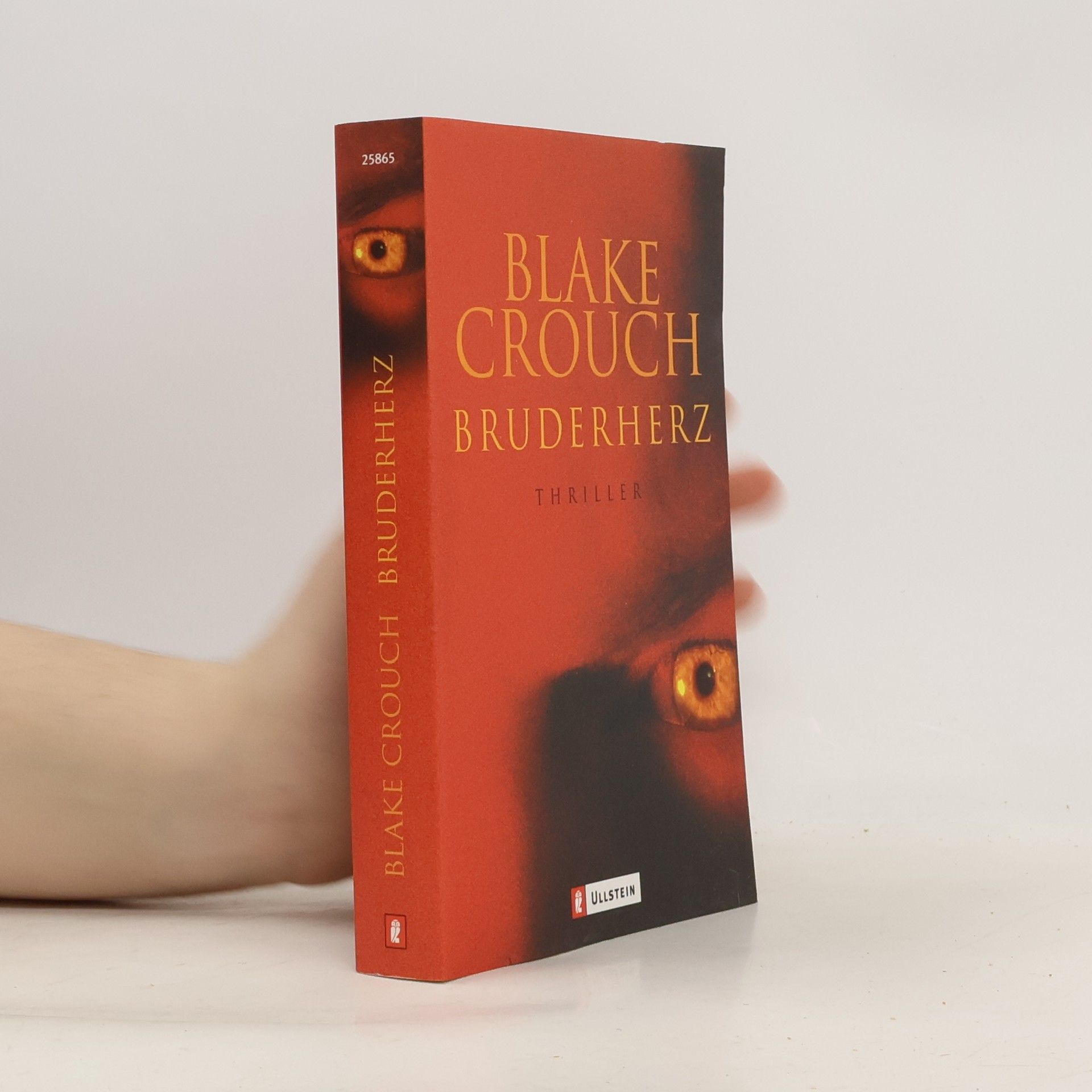 Blake Crouch Bruderherz