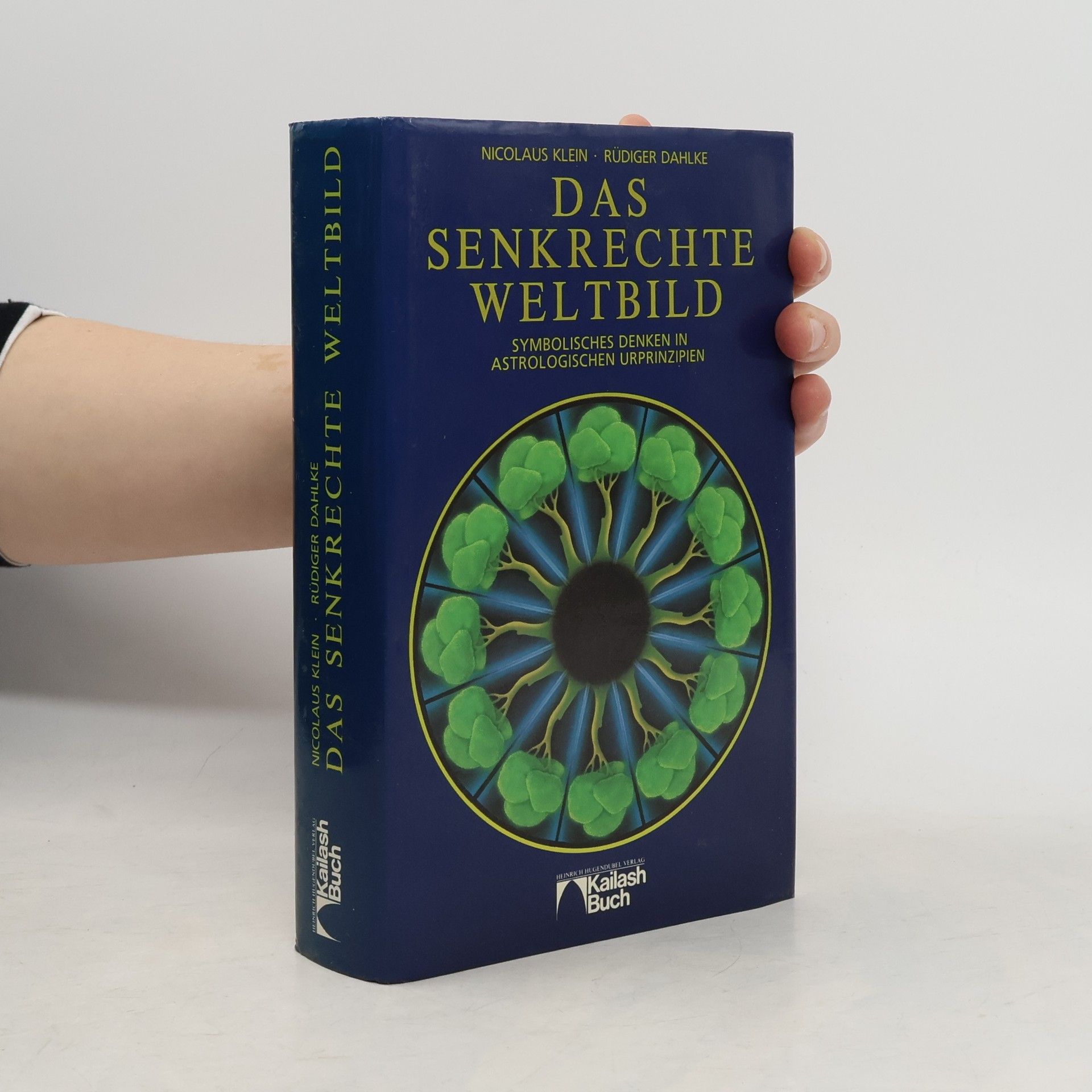 Nicolaus Klein Das senkrechte Weltbild