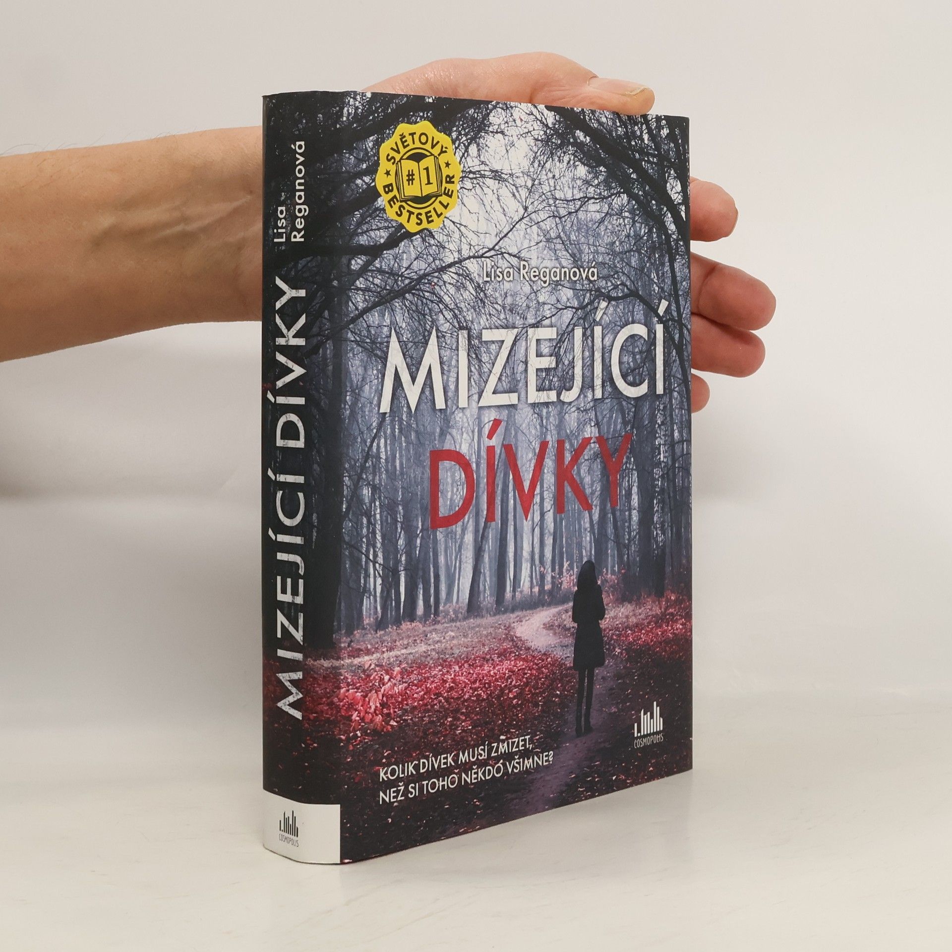 Lisa Regan Mizející dívky