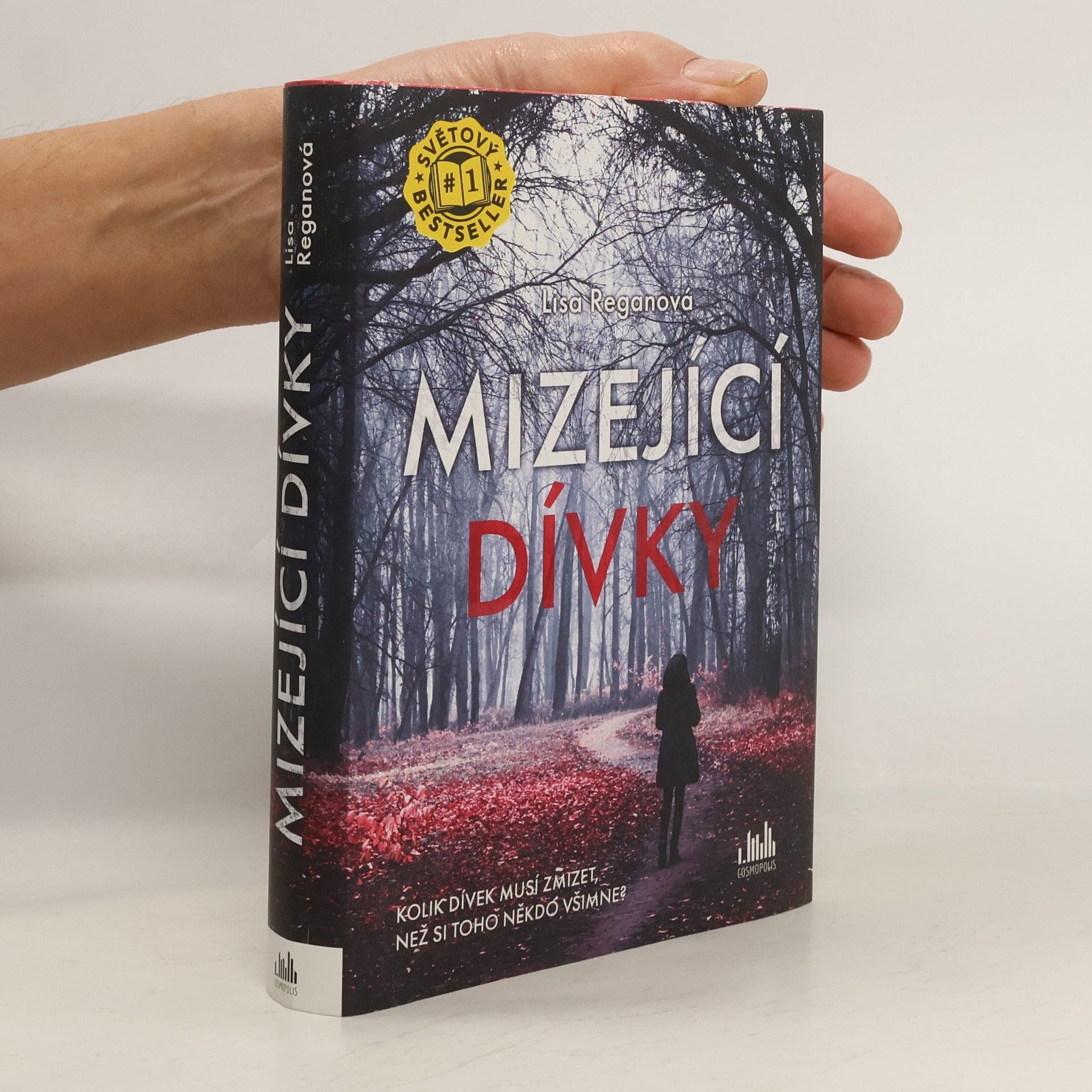 Lisa Regan Mizející dívky