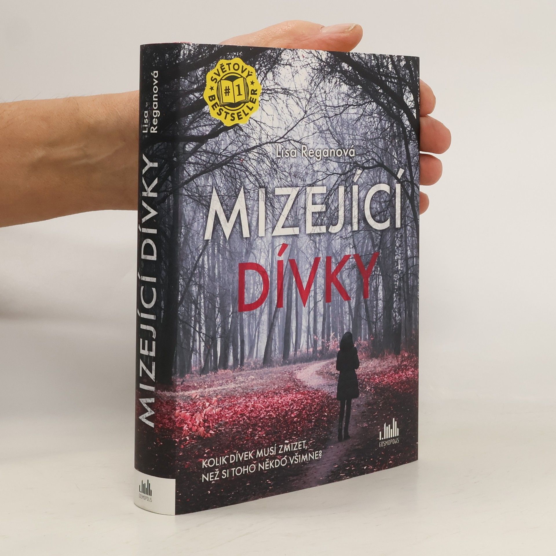 Lisa Regan Mizející dívky