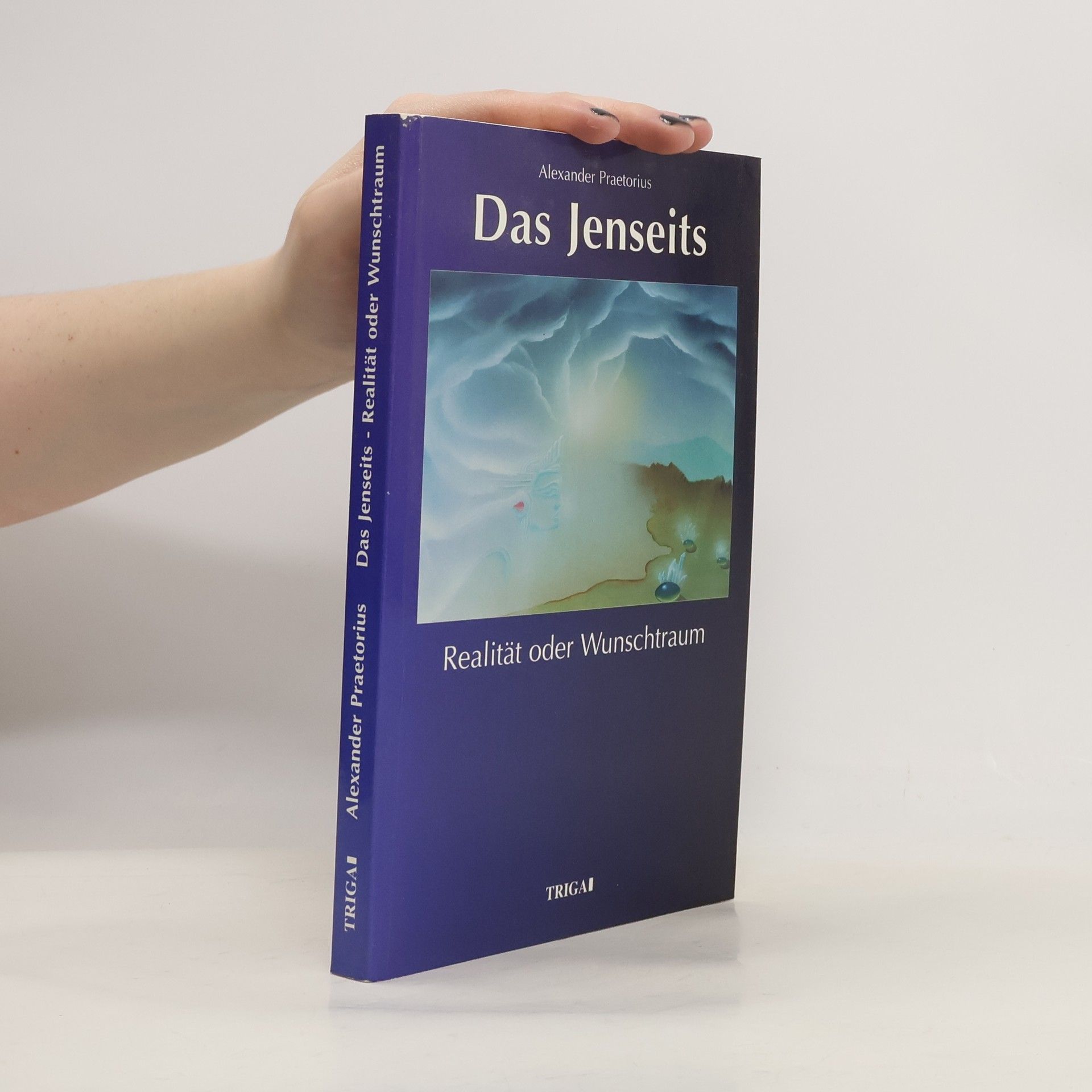 Alexander Praetorius Das Jenseits