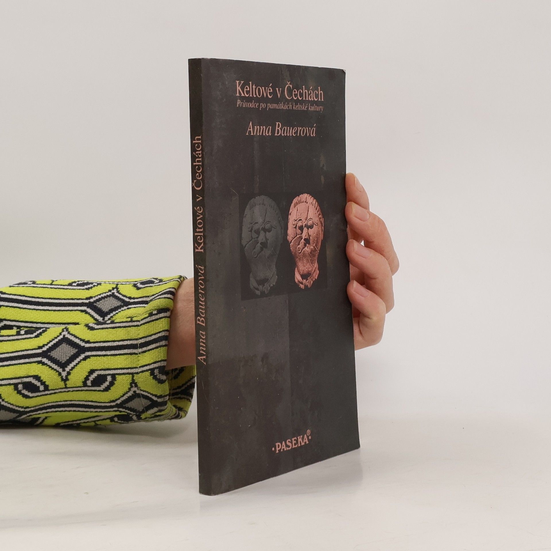 Anna Bauer Keltové v Čechách: Průvodce po památkách keltské kultury