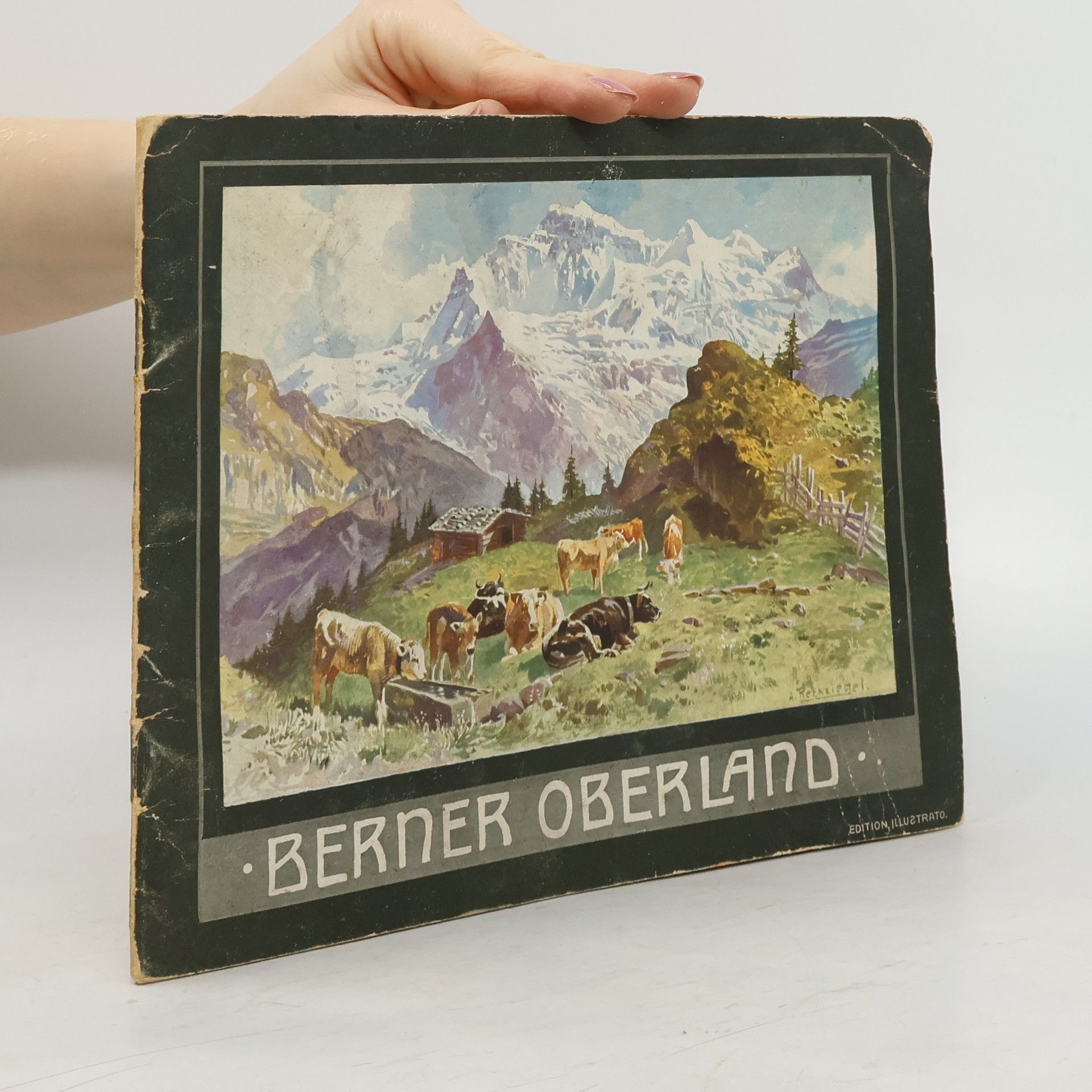 Autores varios Berner Oberland