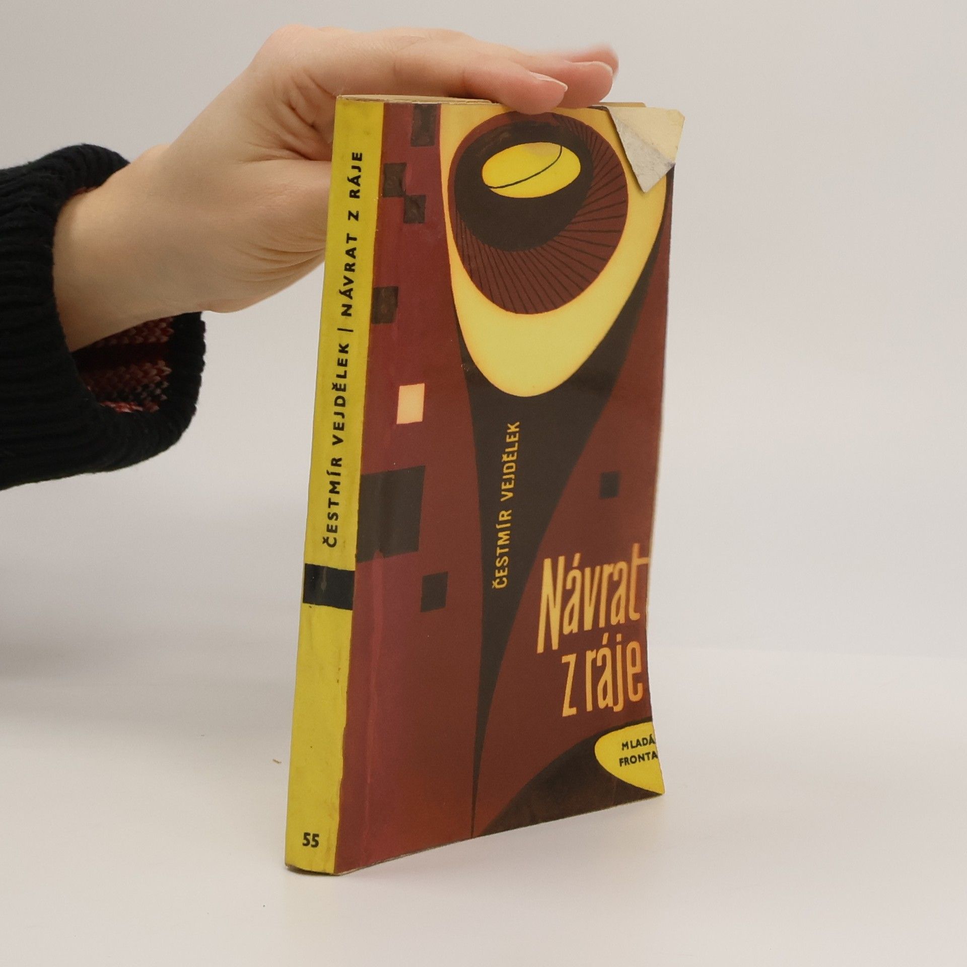 Čestmír Vejdělek Návrat z ráje