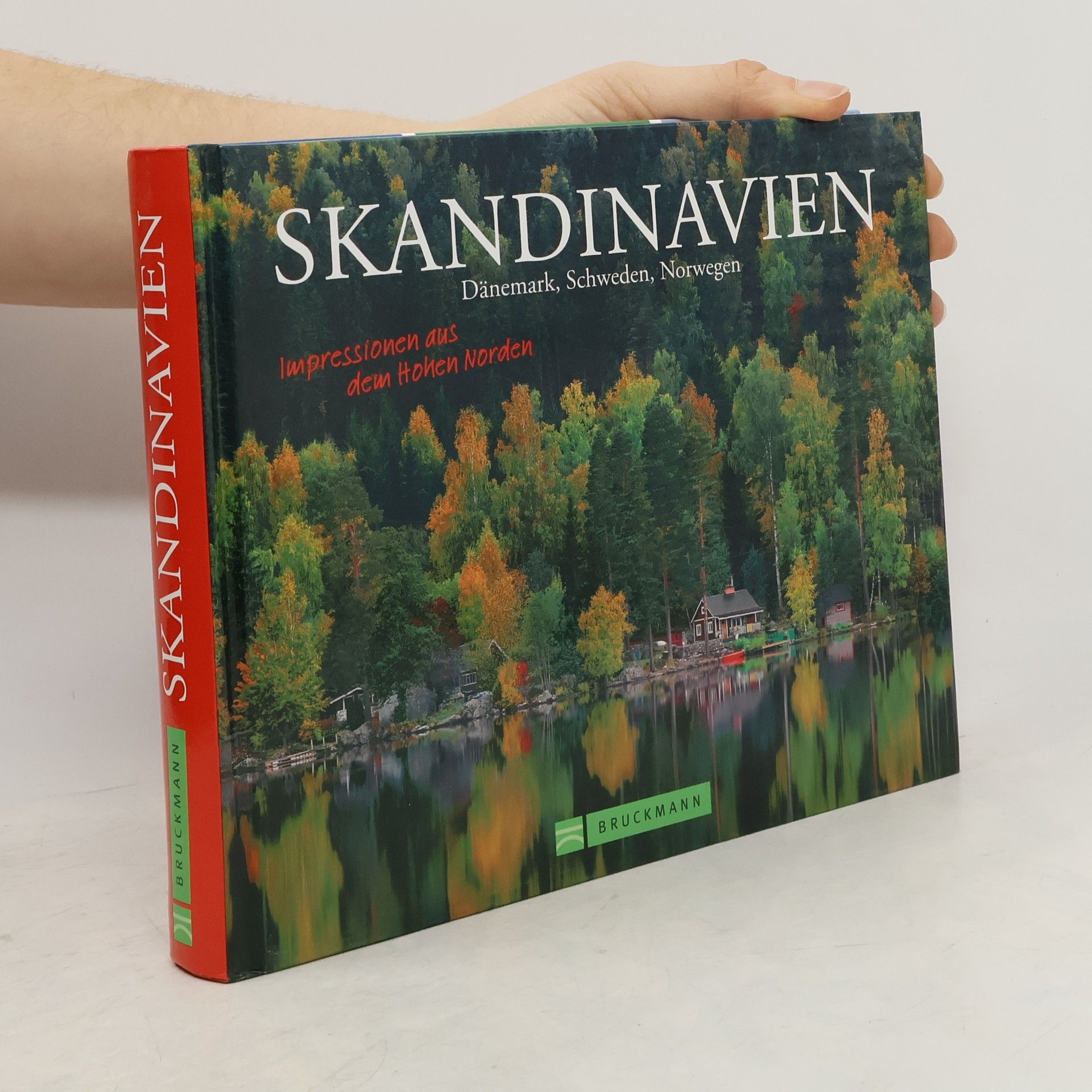 Brigitte Merz Skandinavien