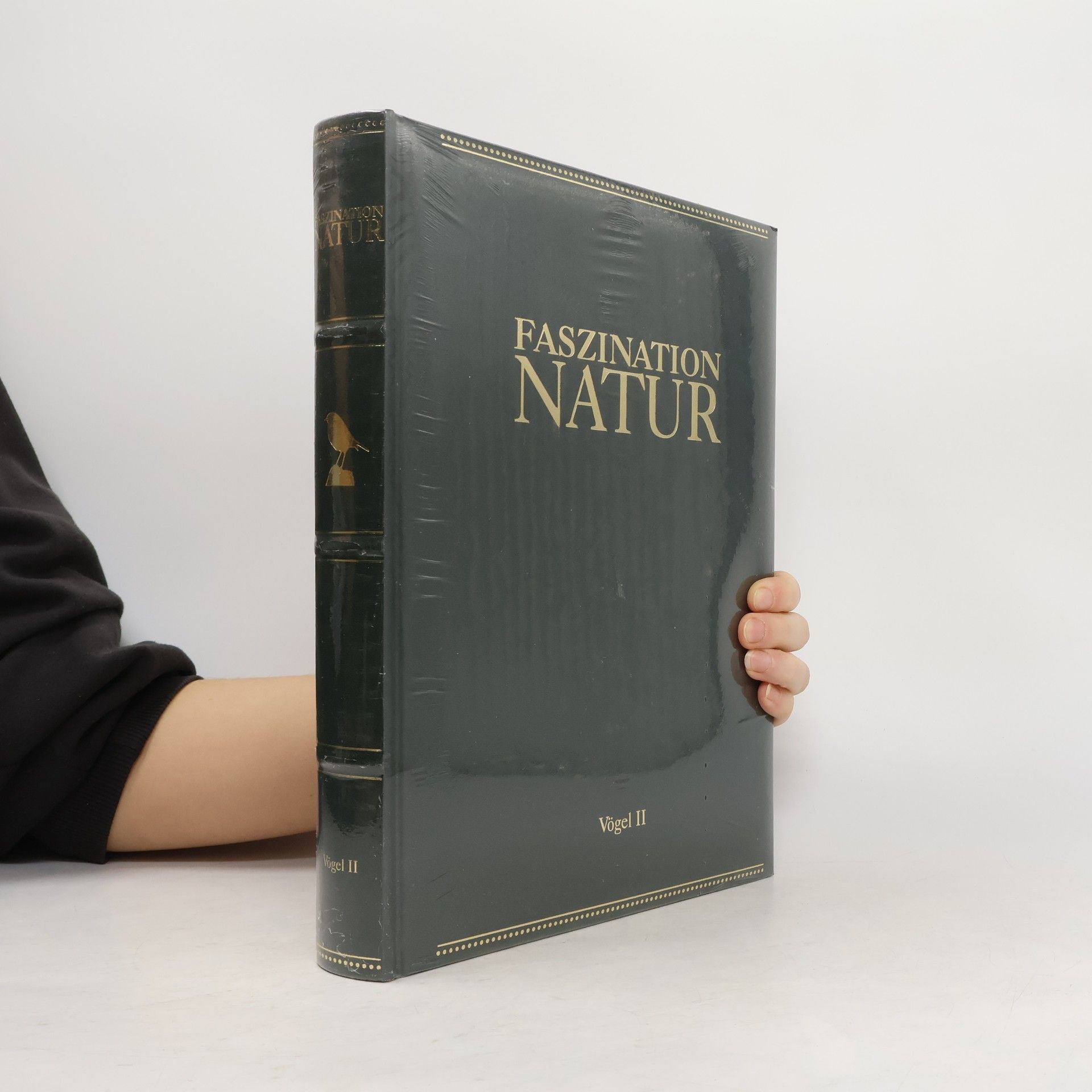 Collectif d'auteurs Faszination Natur. Vögel II.