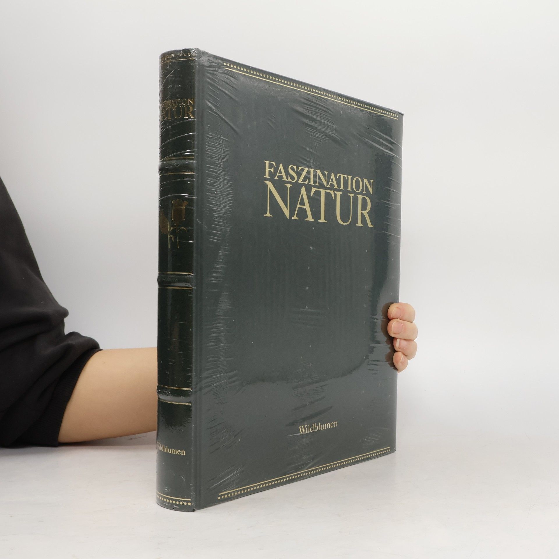 Collectif d'auteurs Faszination Natur. Wildblumen