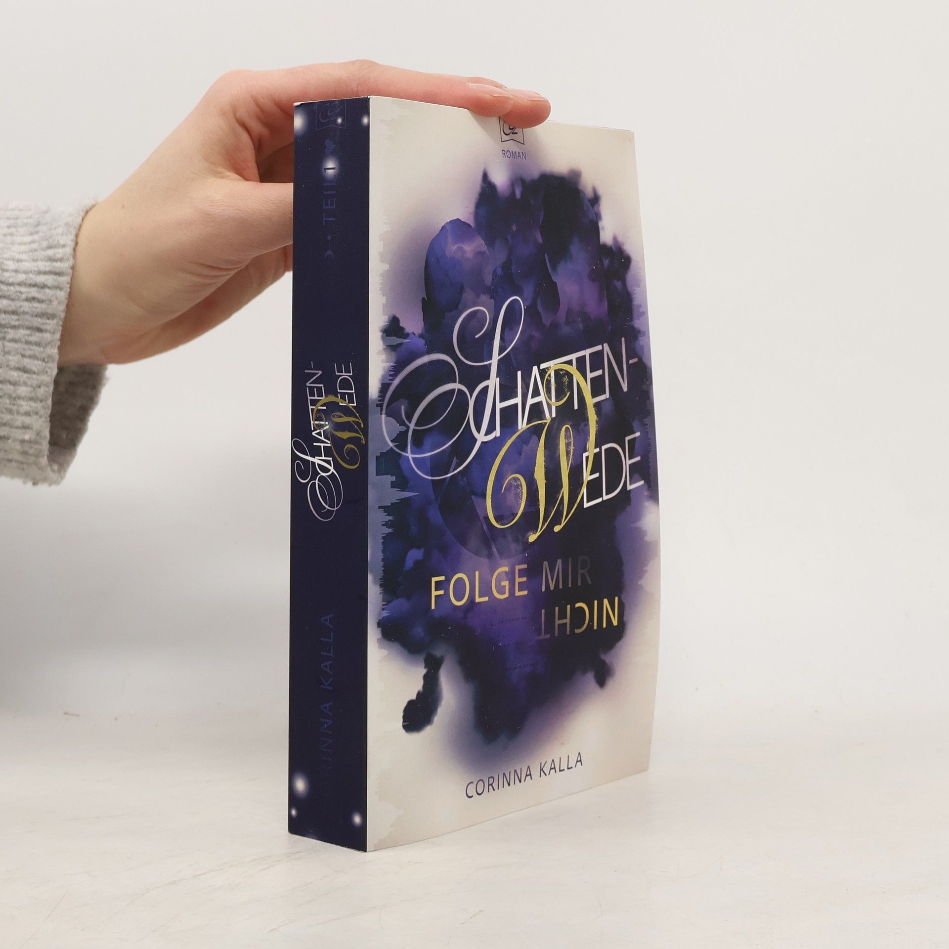 Corinna Kalla Schattenwede - Folge mir nicht