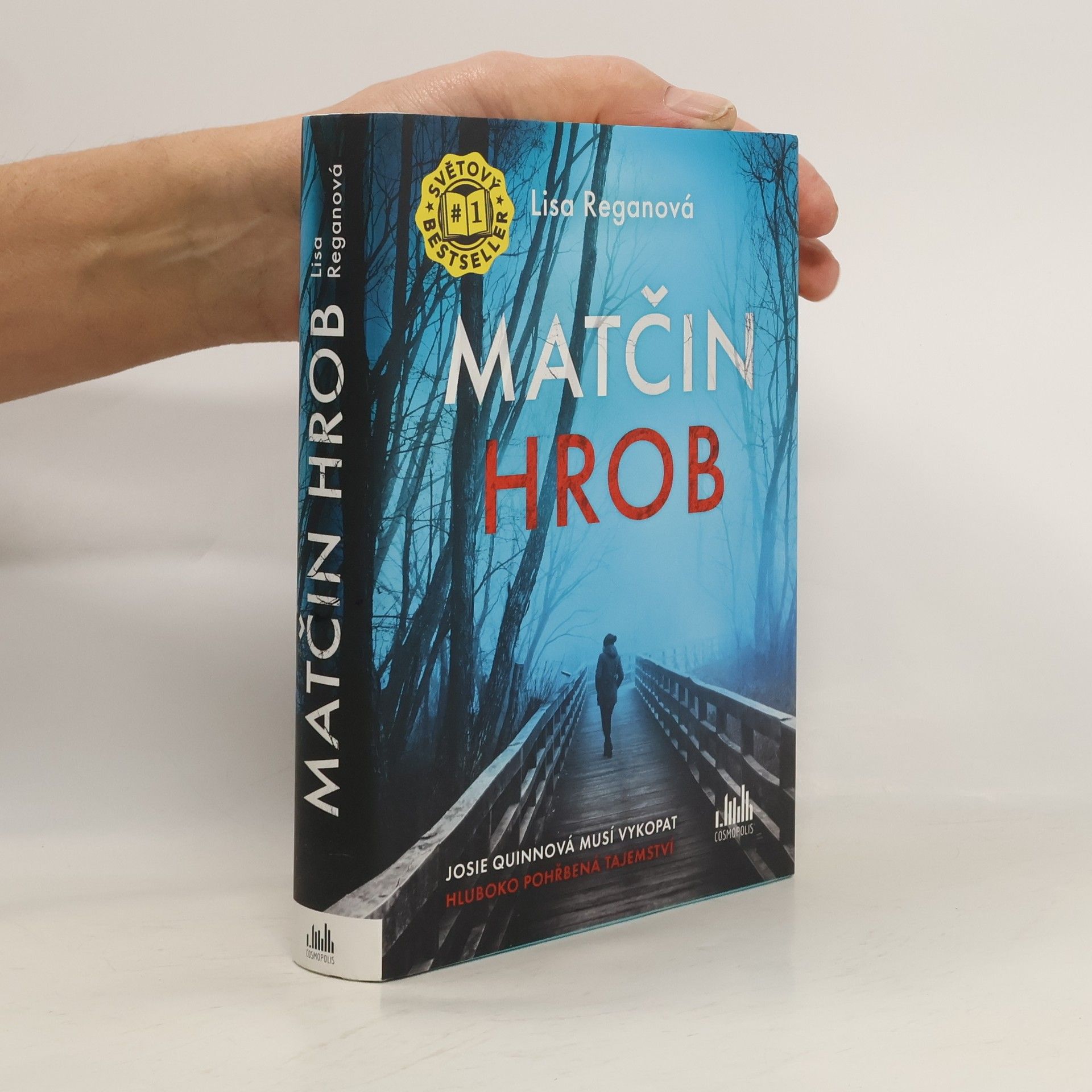 Lisa Regan Matčin hrob