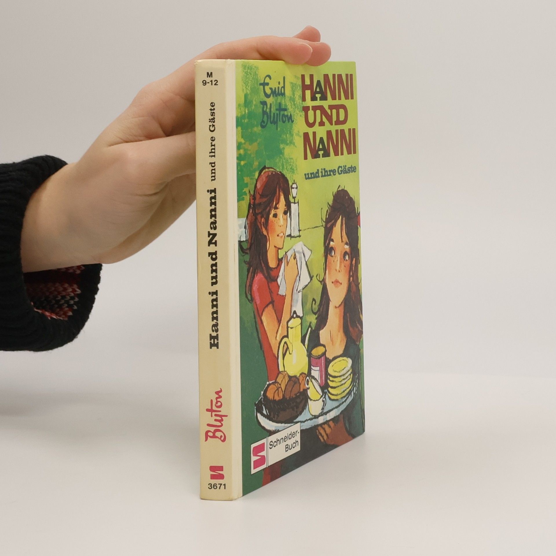 Enid Blyton Hanni und Nanni und ihre Gäste