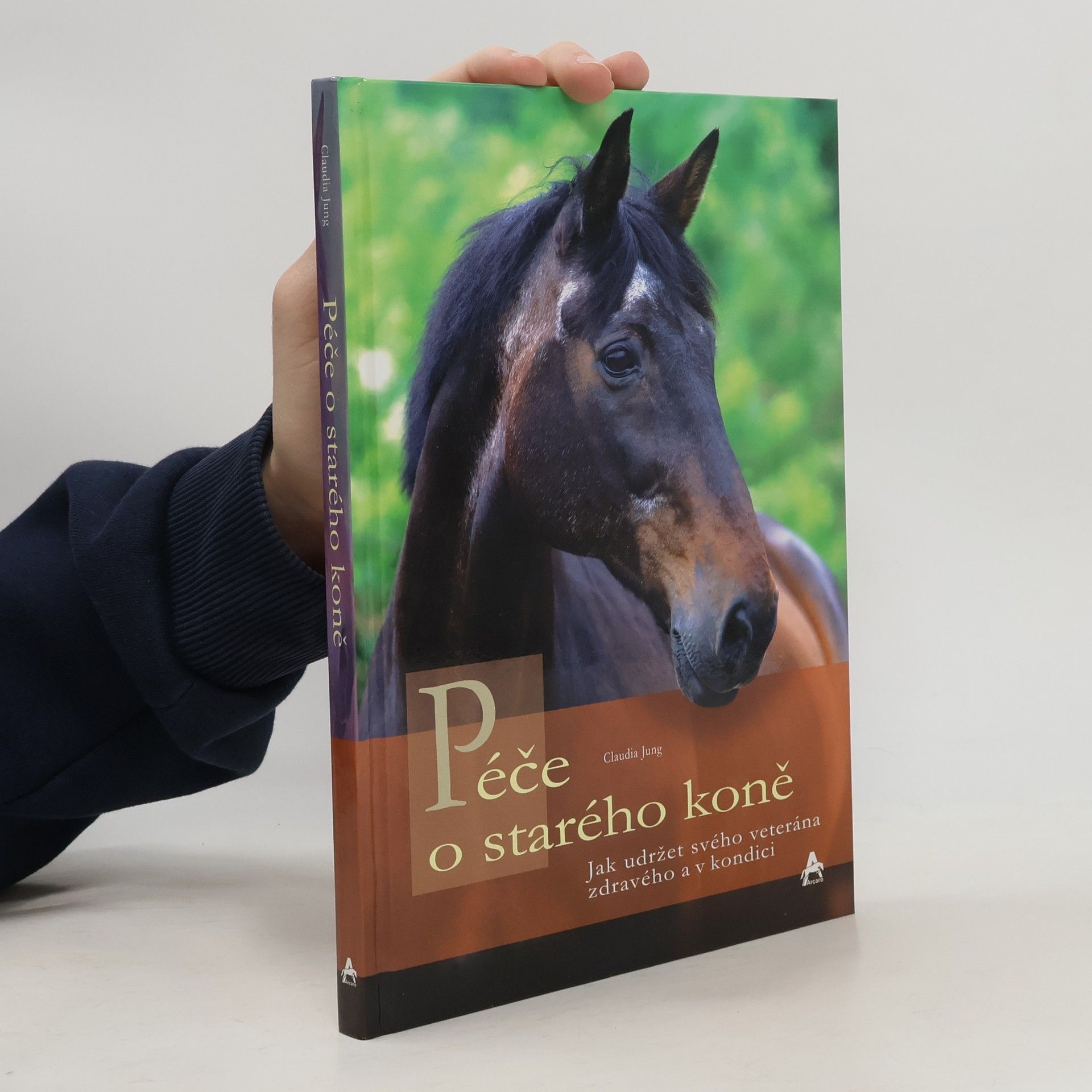 Péče o starého koně