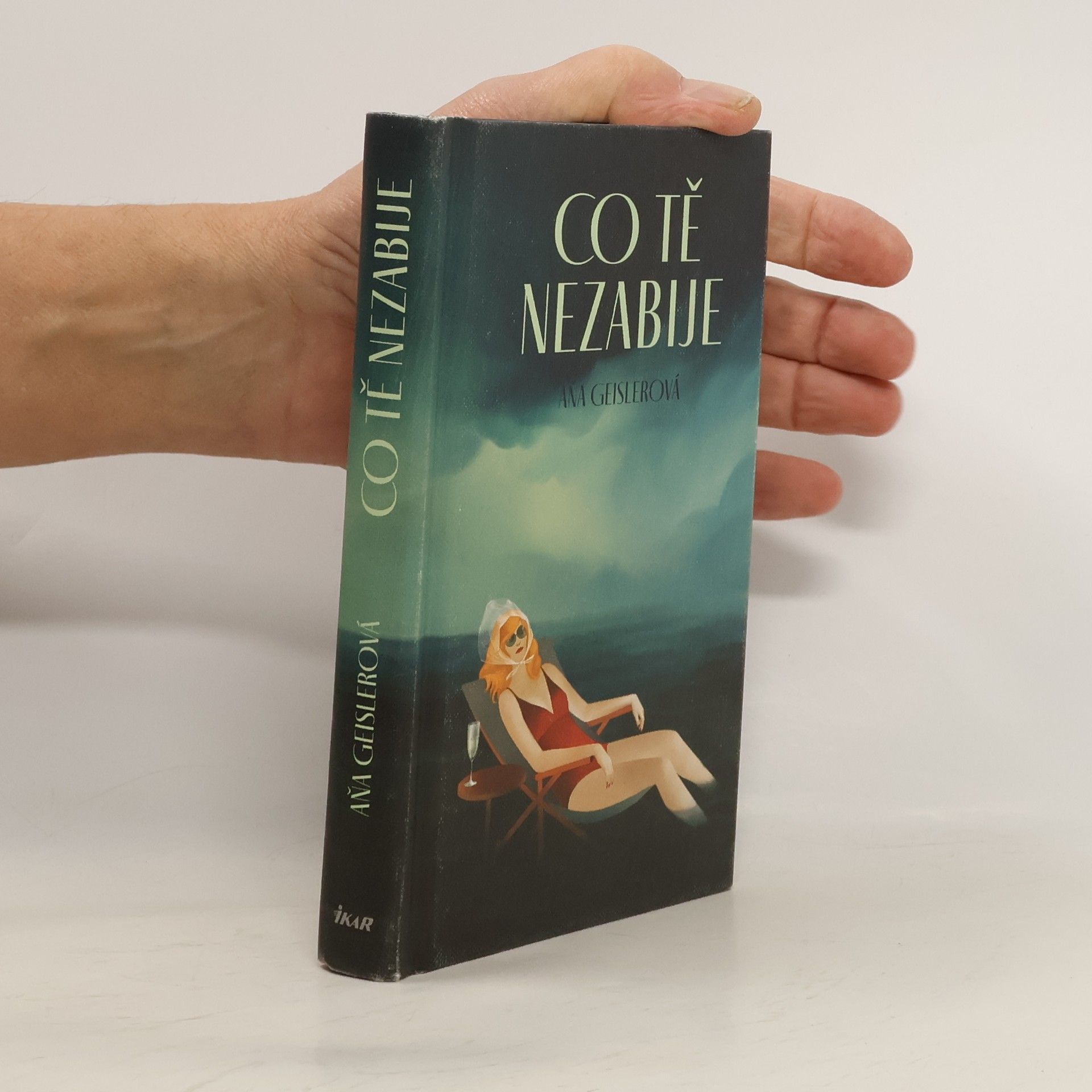 Aňa Geislerová Co tě nezabije