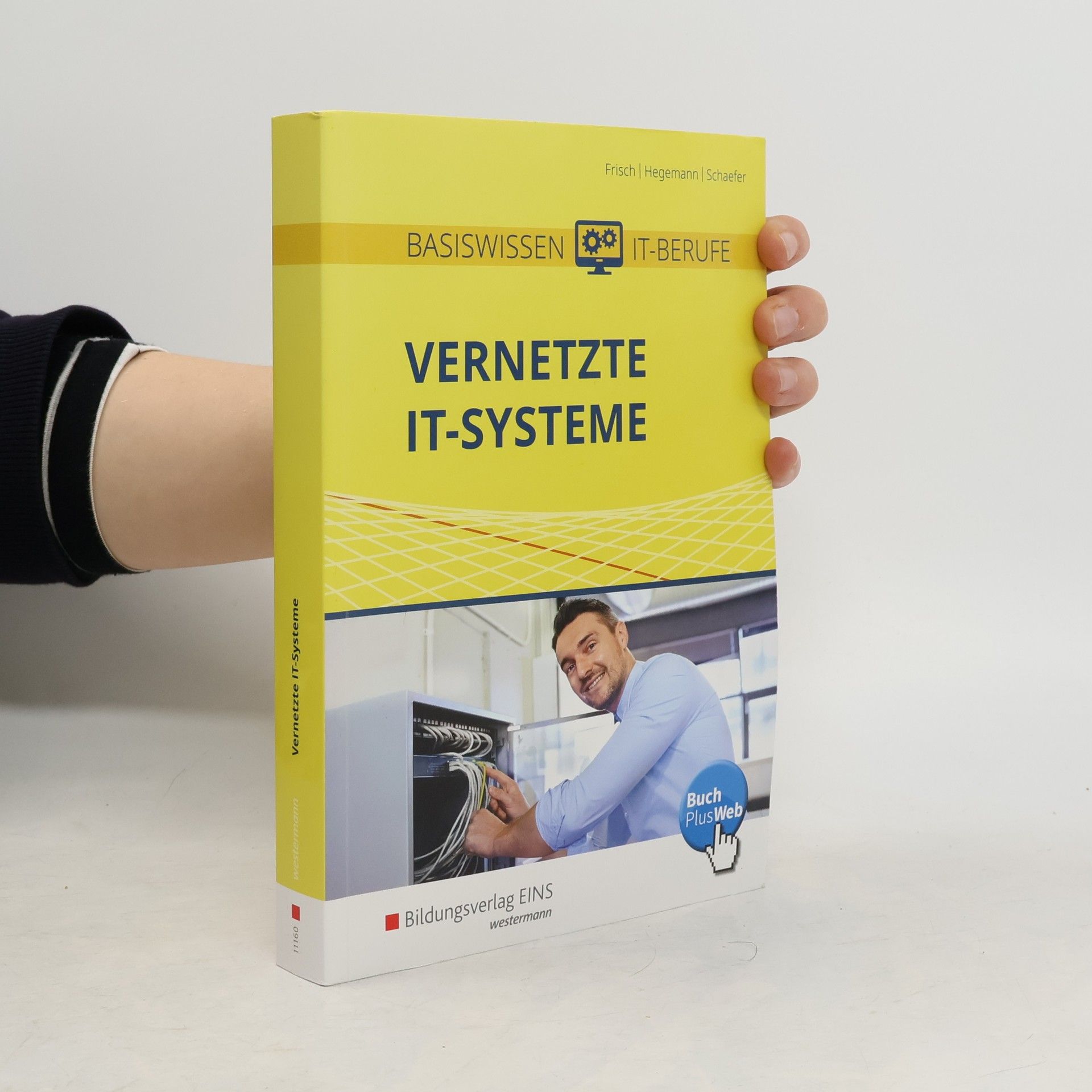 Werner Frisch Basiswissen IT-Berufe