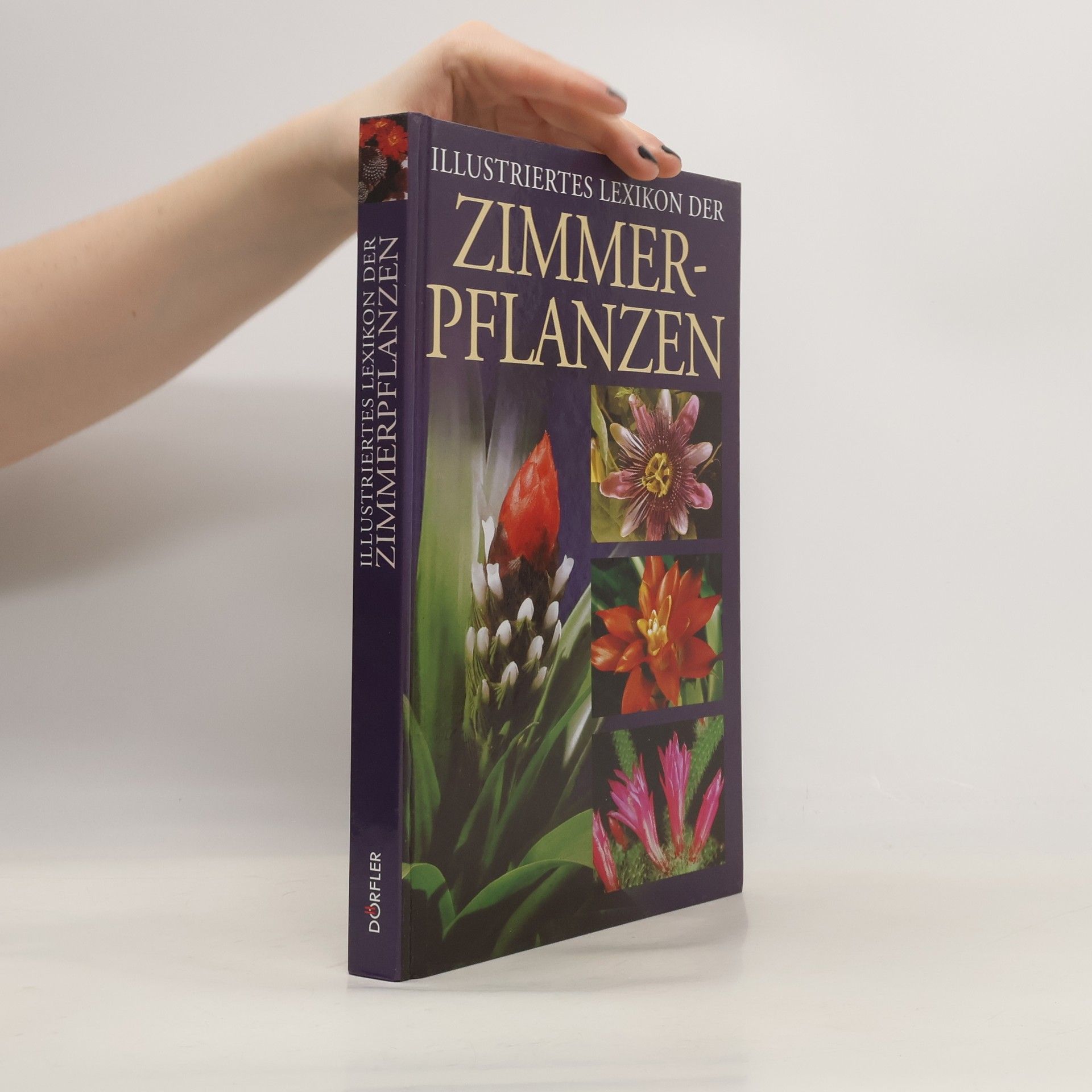 Anna Klásková Illustriertes Lexikon der Zimmerpflanzen