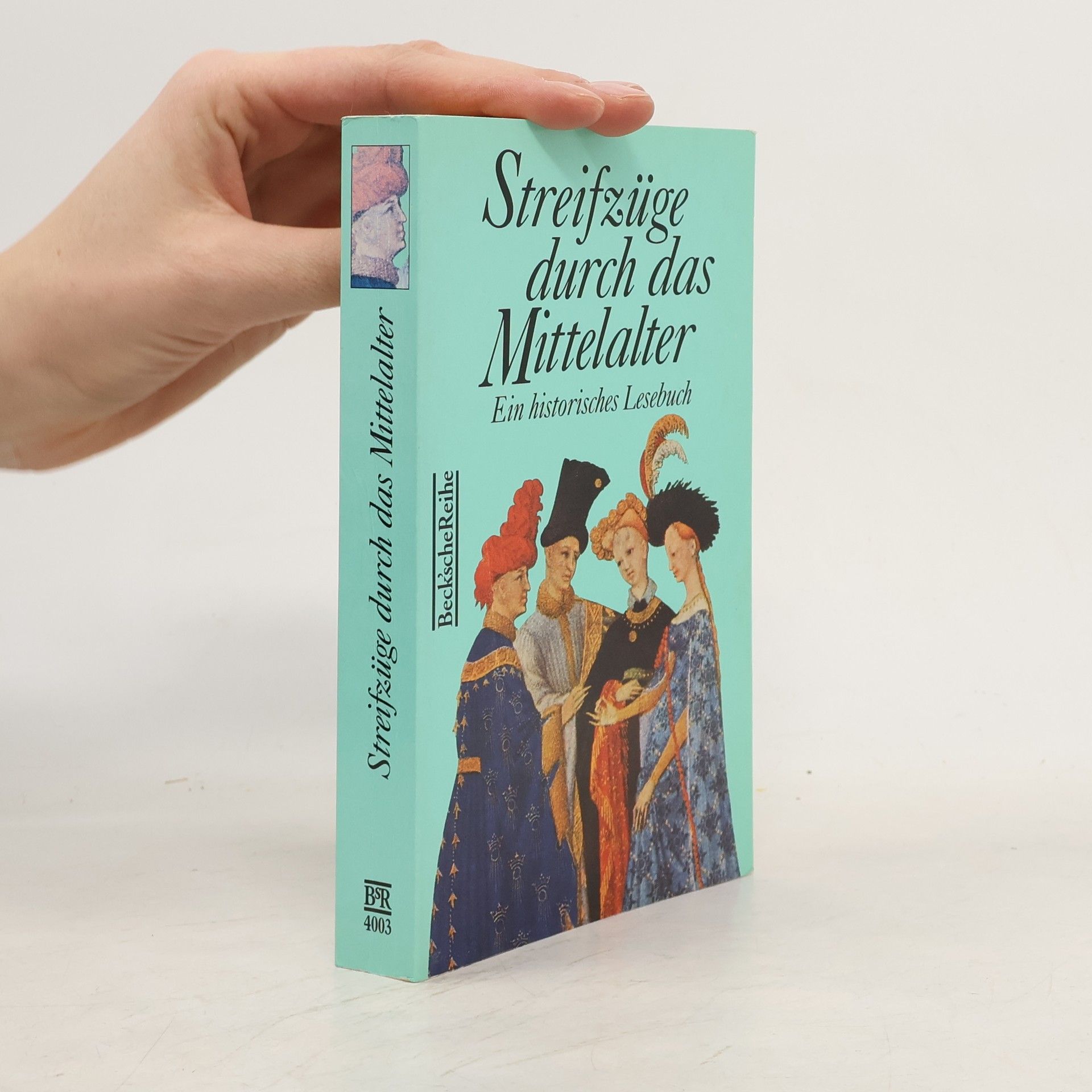 Streifzüge durch das Mittelalter