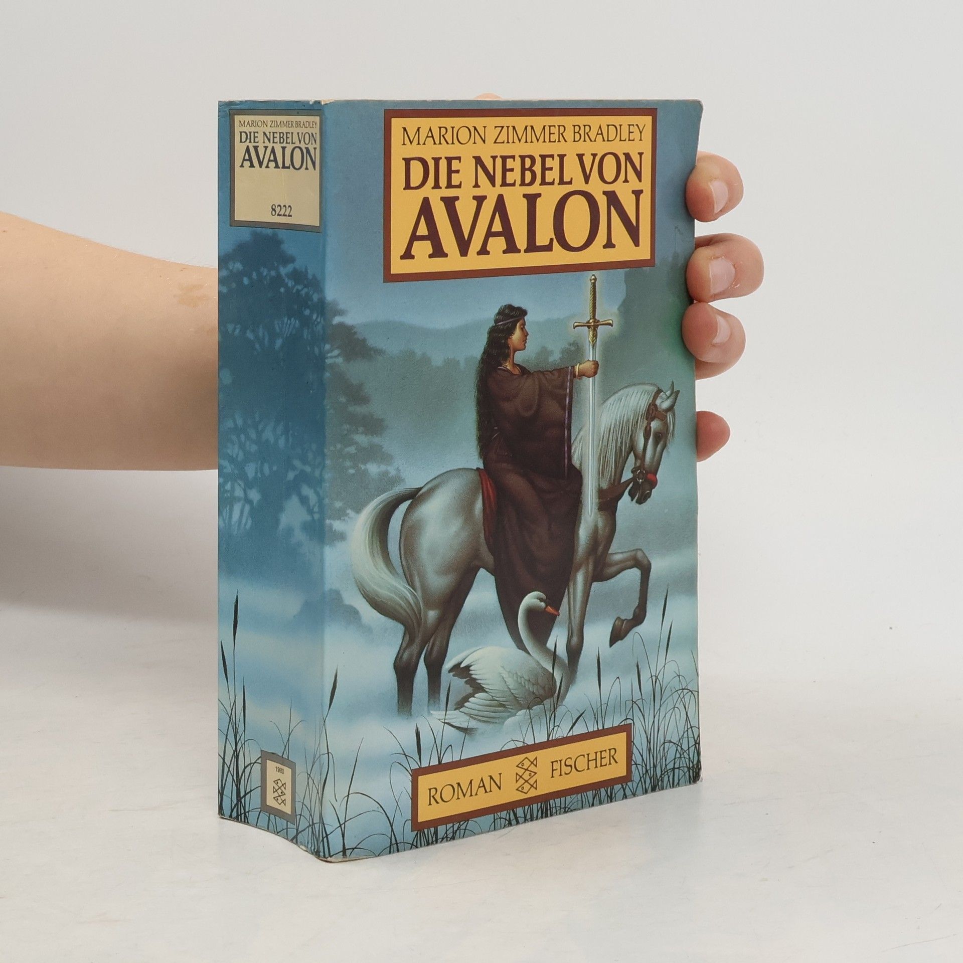Die Nebel von Avalon