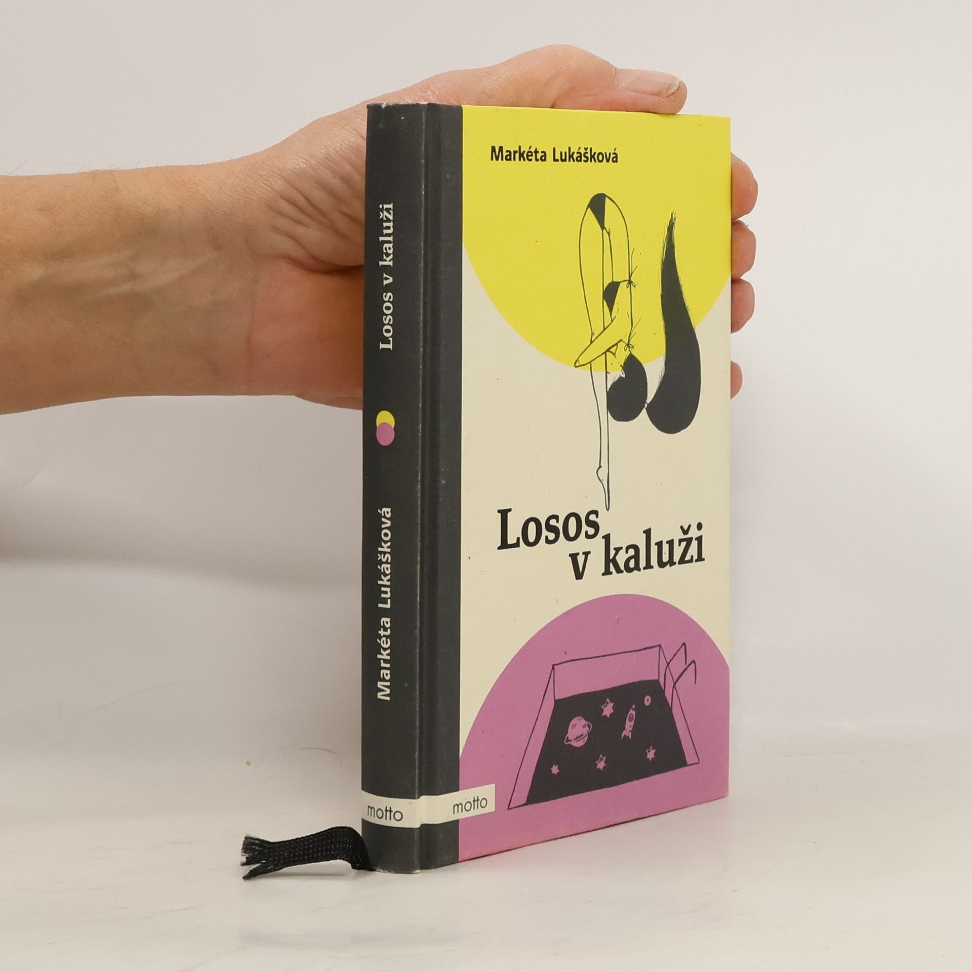 Markéta Lukášková Losos v kaluži