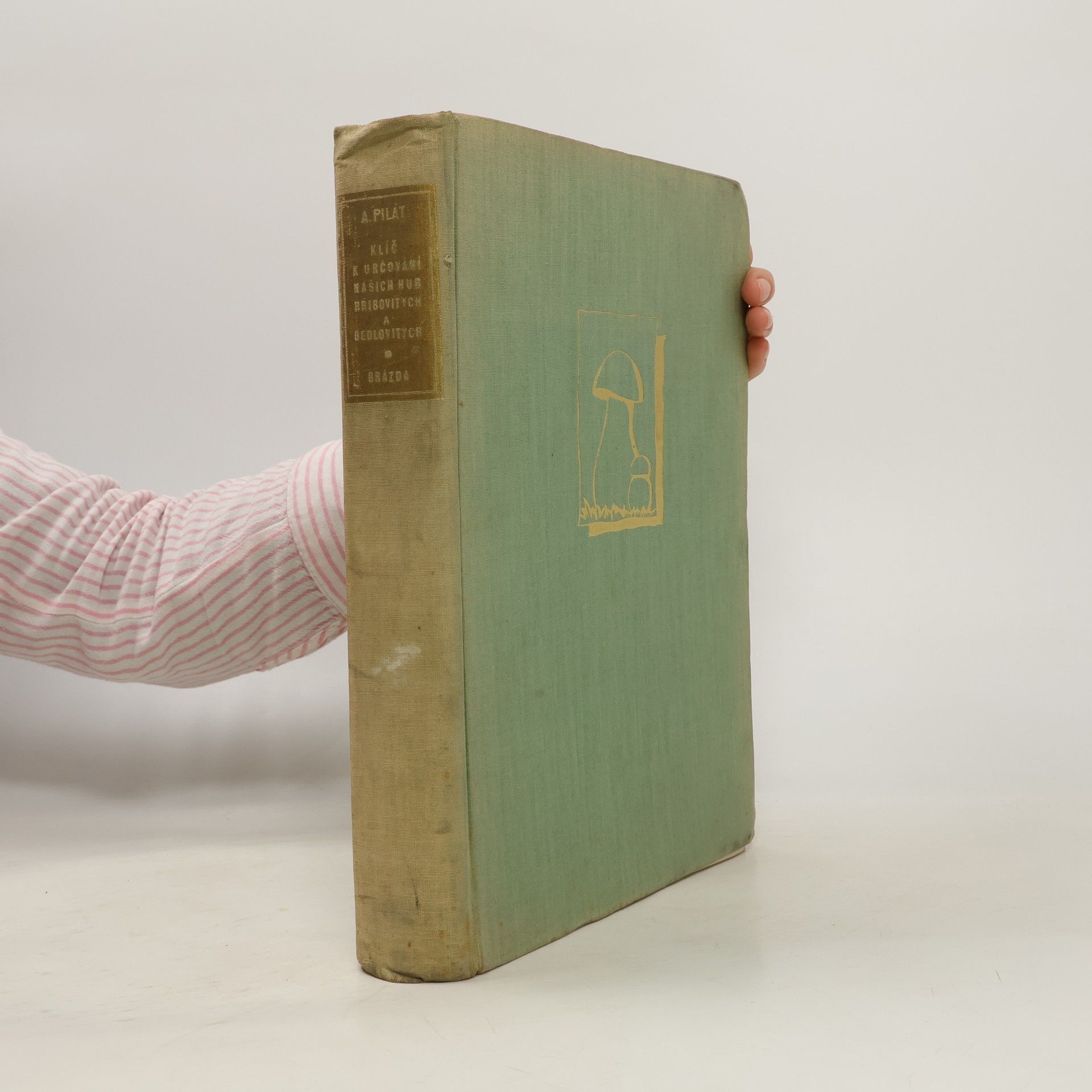 Albert Pilát Klíč k určování našich hub hřibovitých a bedlovitých