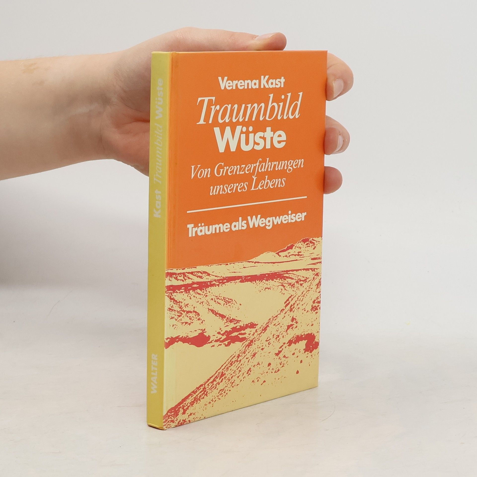 Verena Kast Träume als Wegweiser: Traumbild Wüste