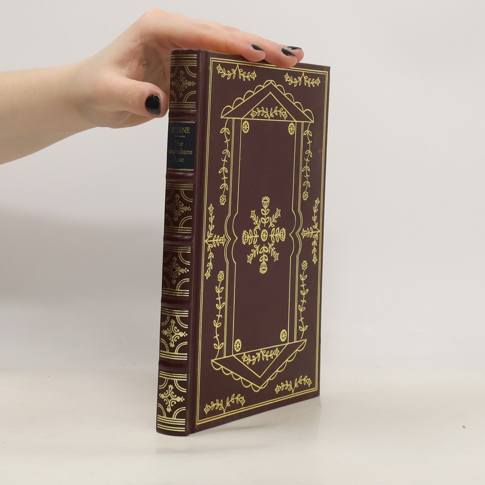 Autorenkollektiv Sterne eine Empfindsame Reise