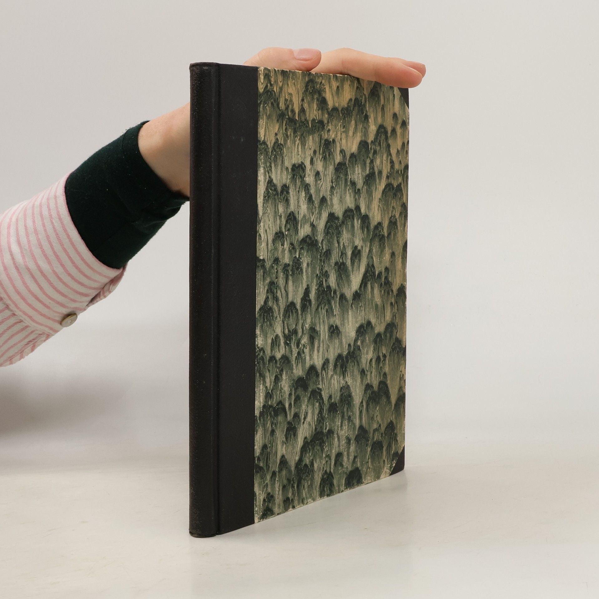 Stavíme modely železnic