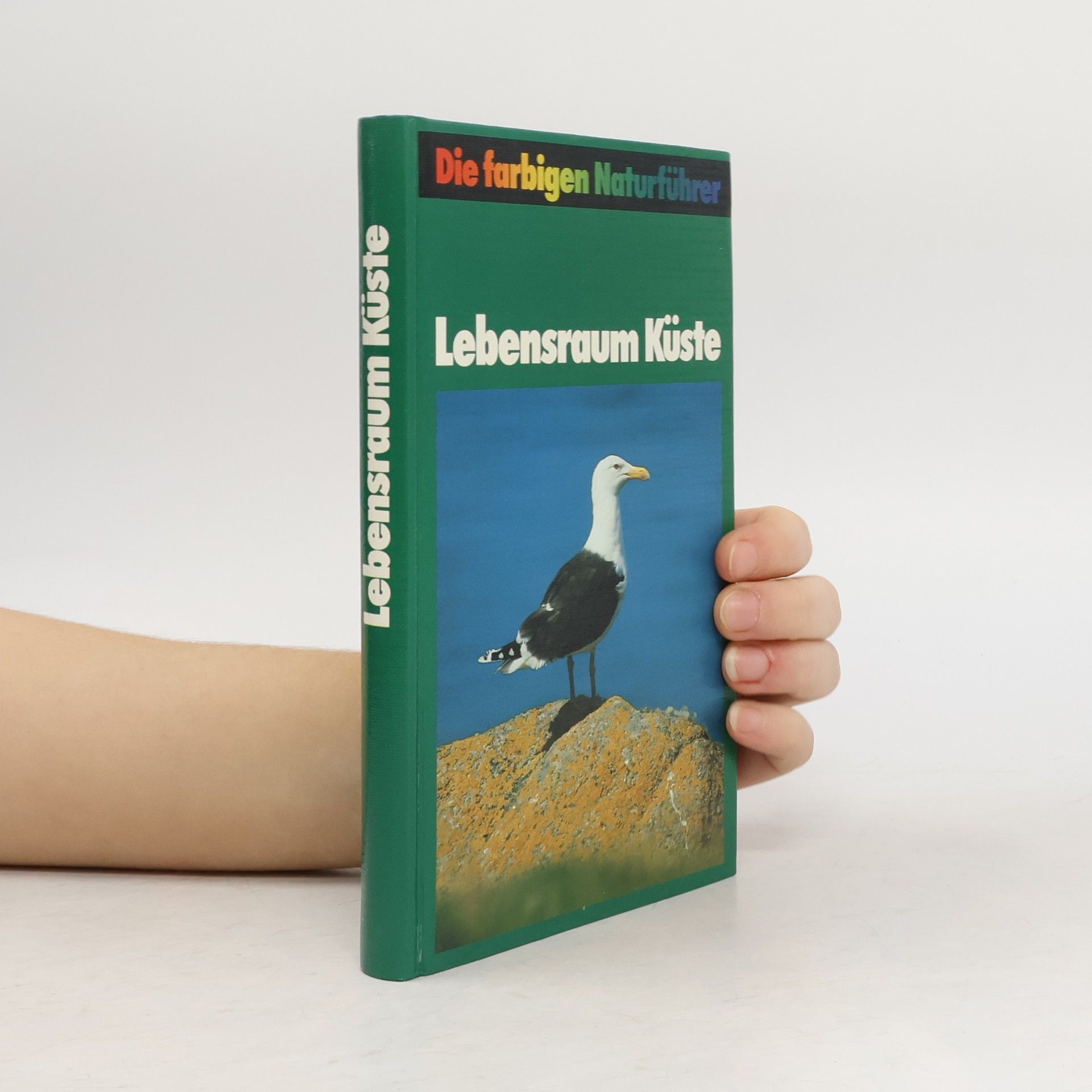 Kolektiv autorů Lebensraum Küste