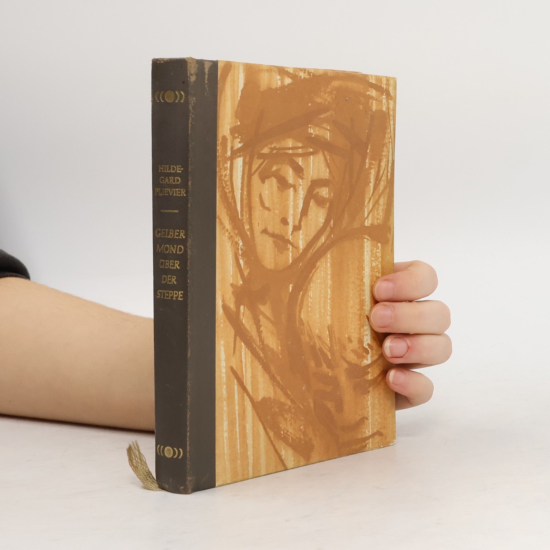 Gelbert Mond über der Steppe