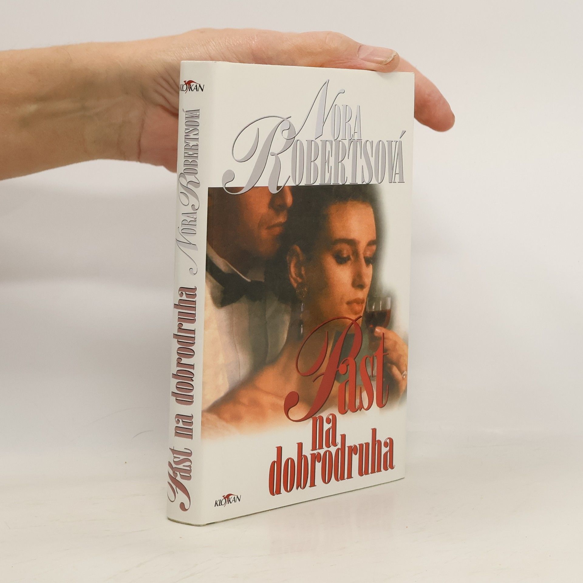 Nora Roberts Past na dobrodruha