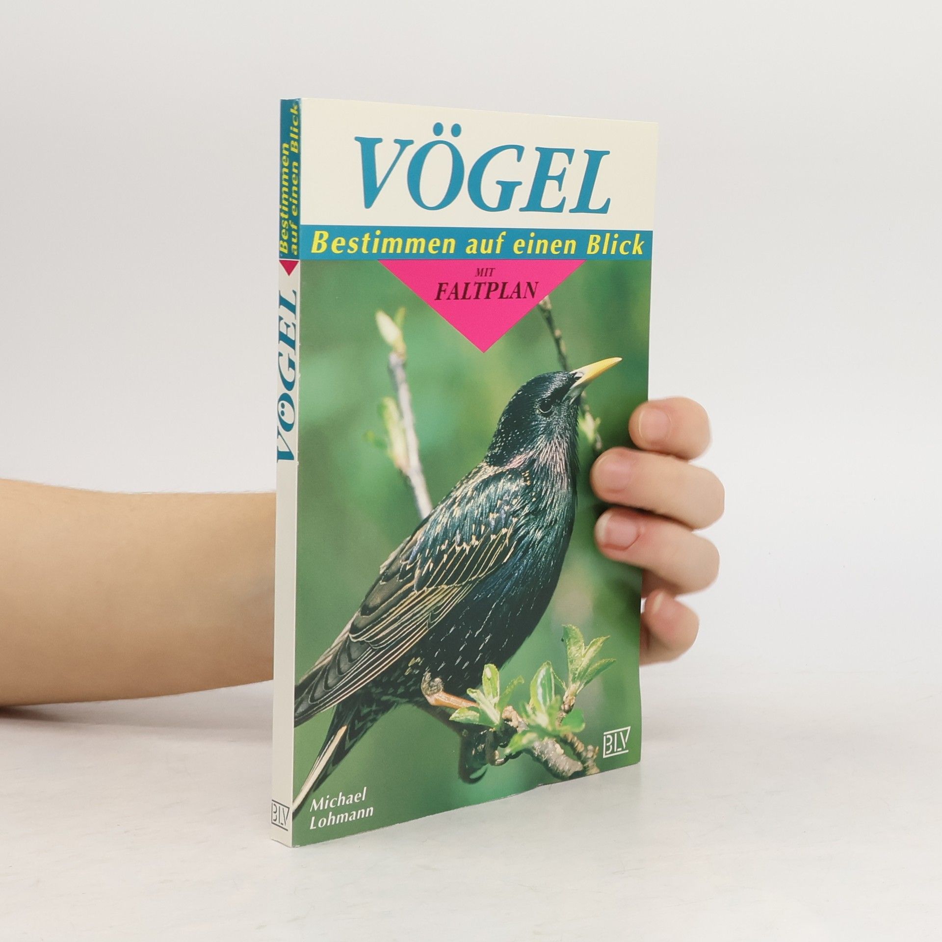 Michael Lohmann Vögel