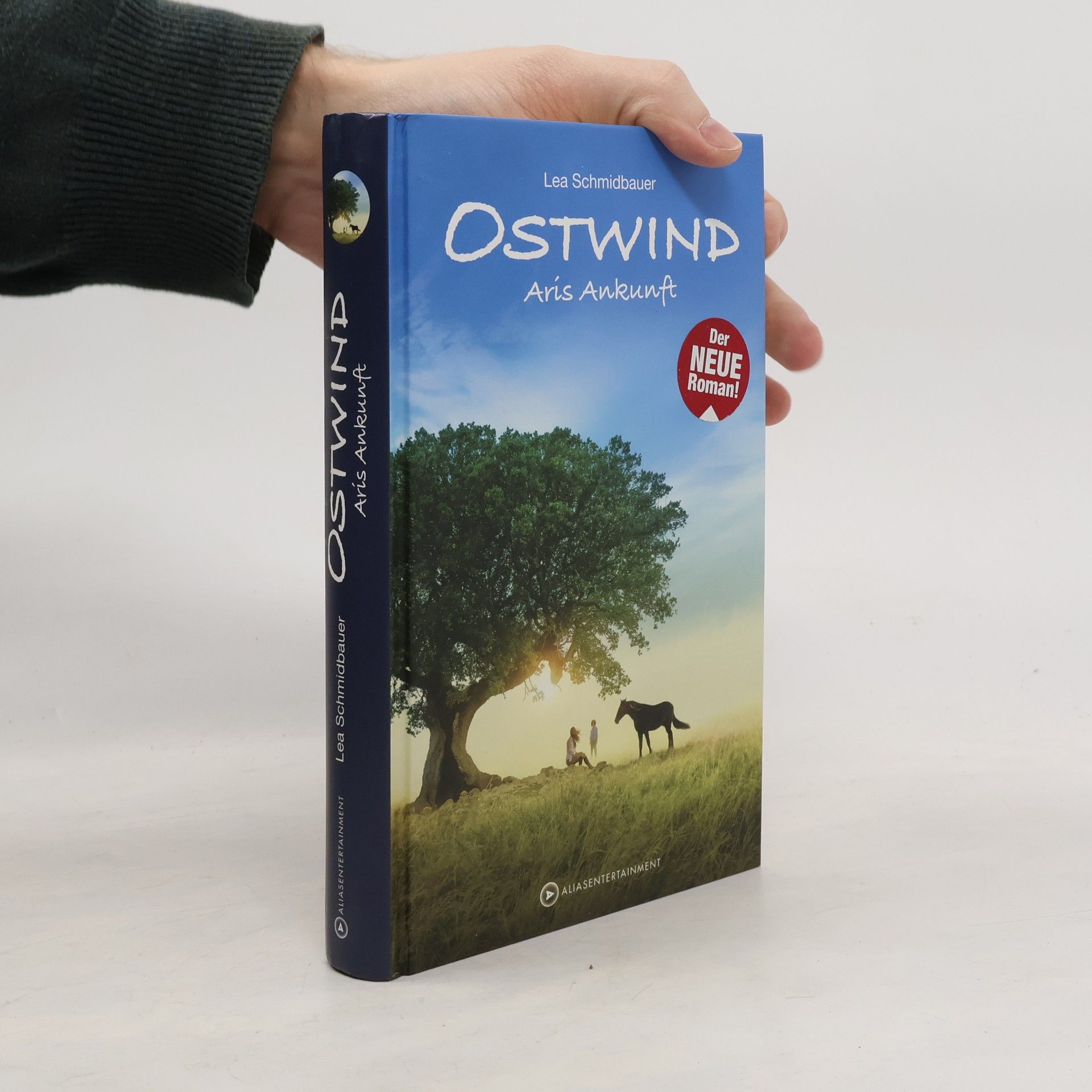 Ostwind - Arís Ankunft