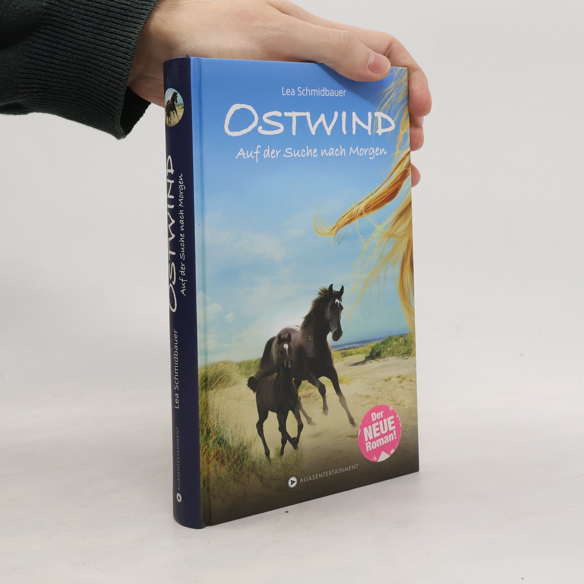Lea Schmidbauer Ostwind - auf der Suche nach Morgen