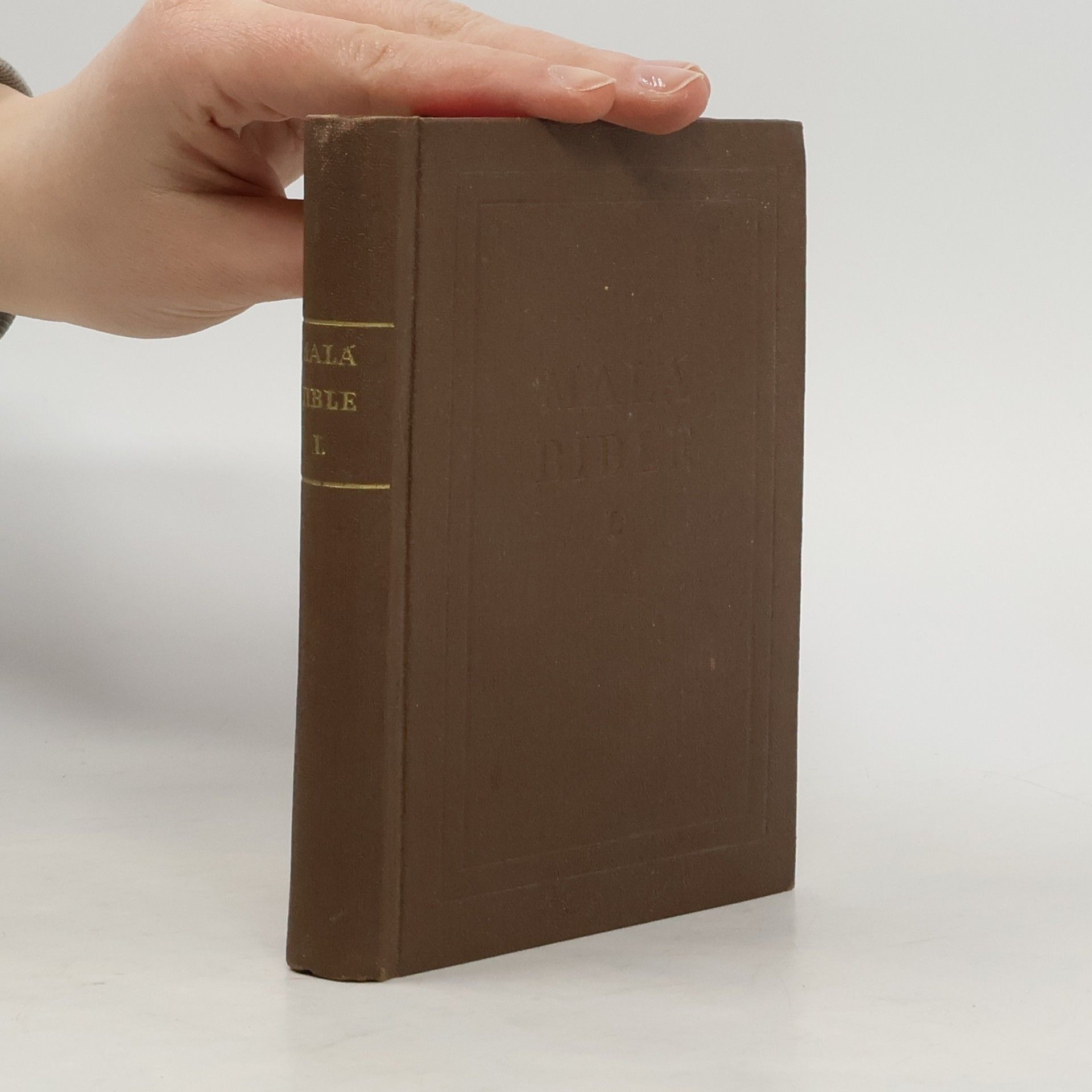Malá Bible: výbor hlavních míst z knih Písma svatého Starého i Nového Zákona. Díl 1., Ze starozákonních knih Mojžíšových a historických