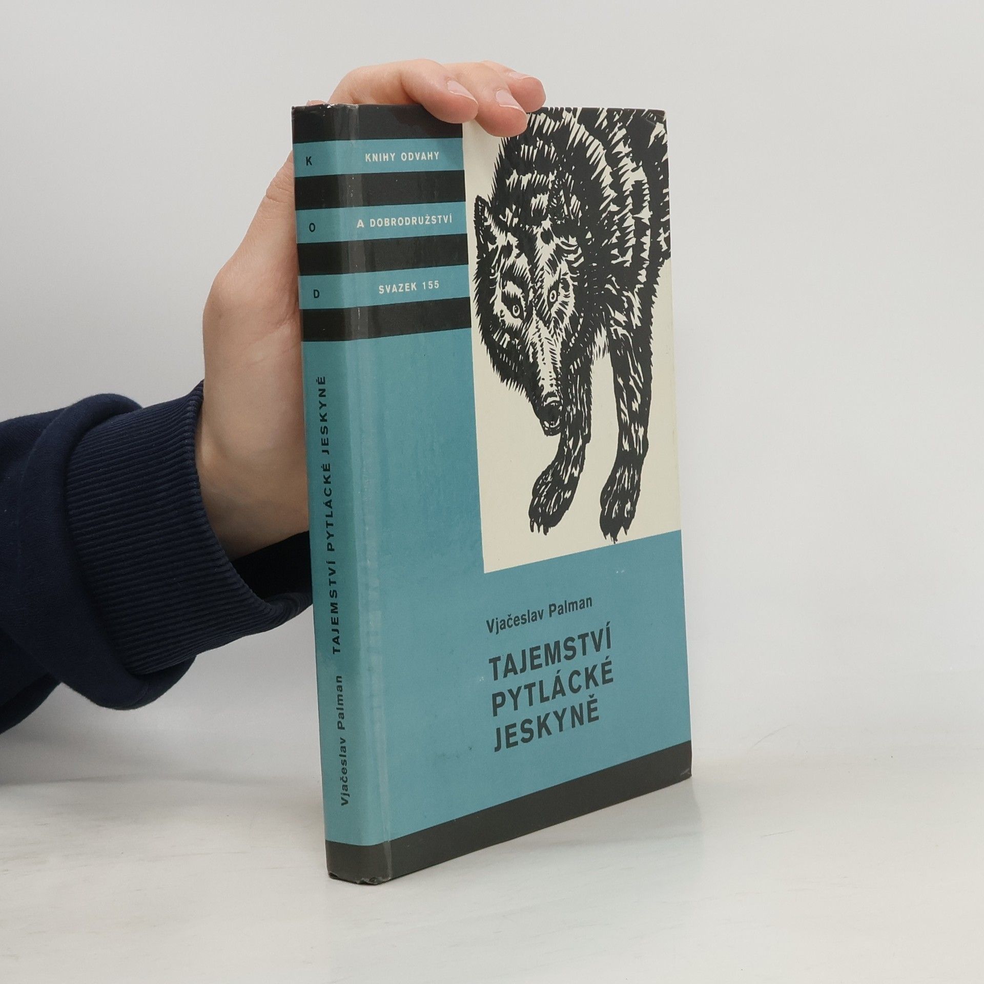 Vjačeslav Palman Tajemství pytlácké jeskyně