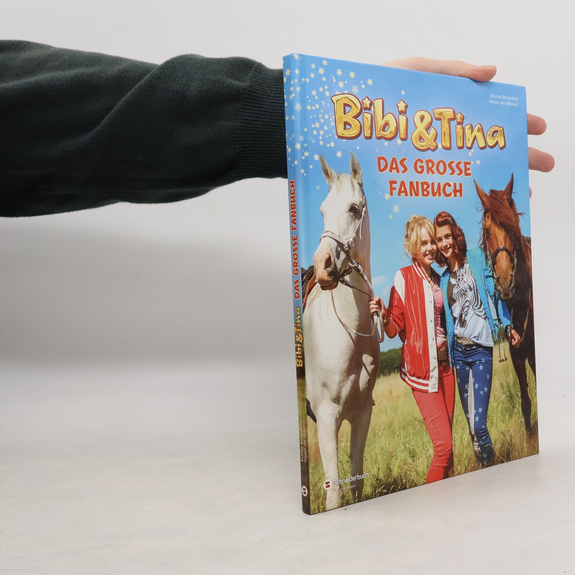 Autorenkollektiv Bibi & Tina: Das Grosse Fanbuch