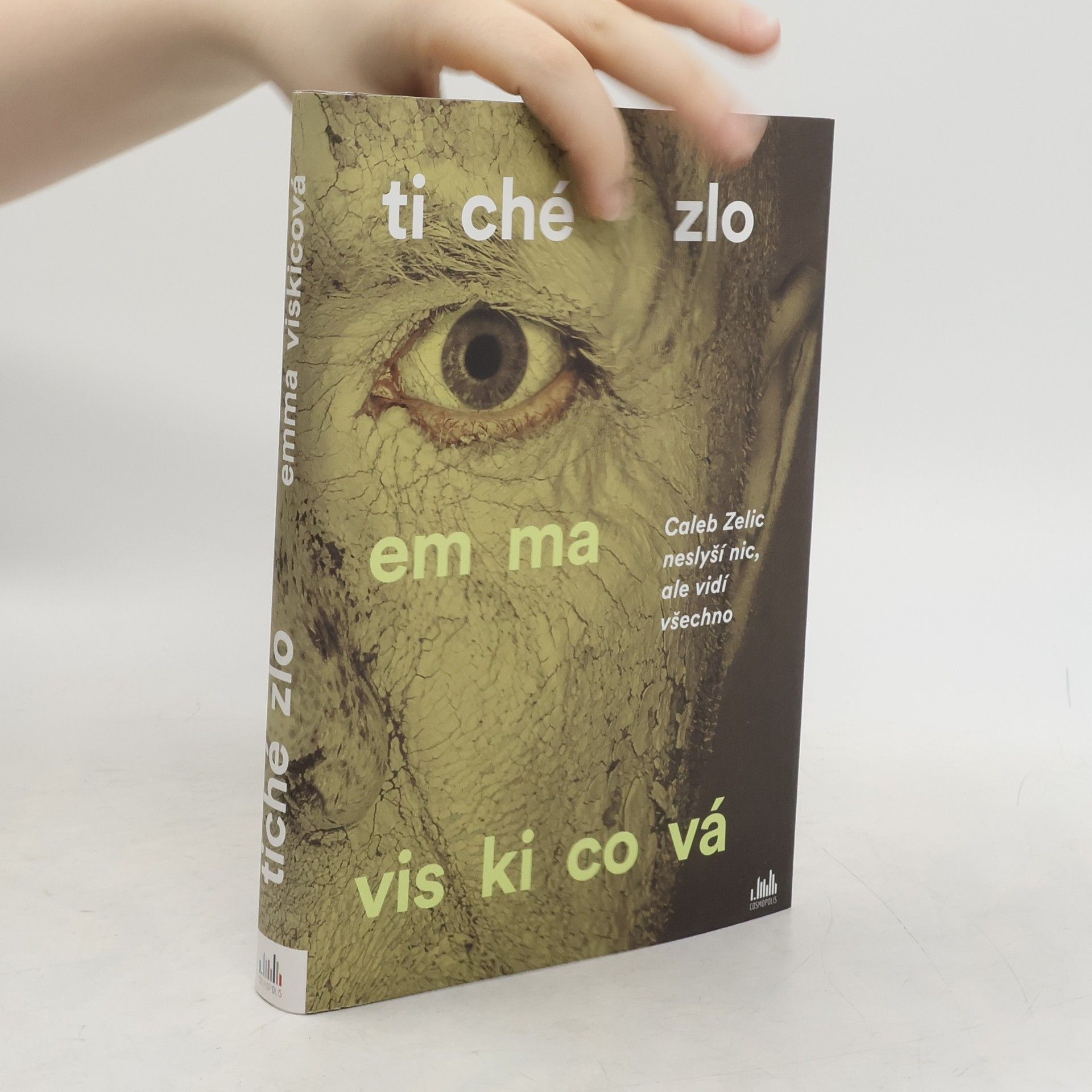 Emma Viskic Tiché zlo