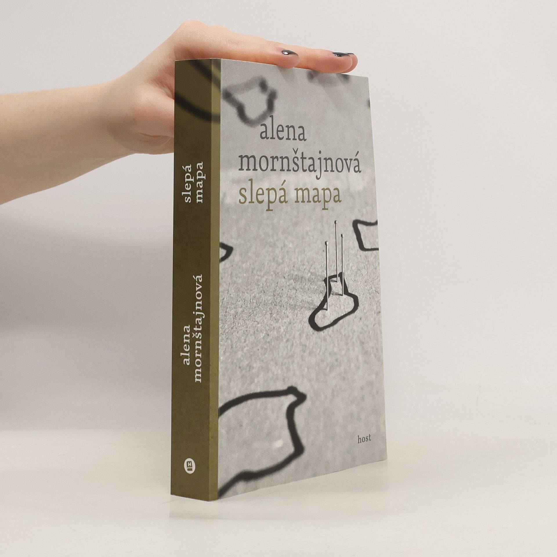 Alena Mornštajnová Slepá mapa