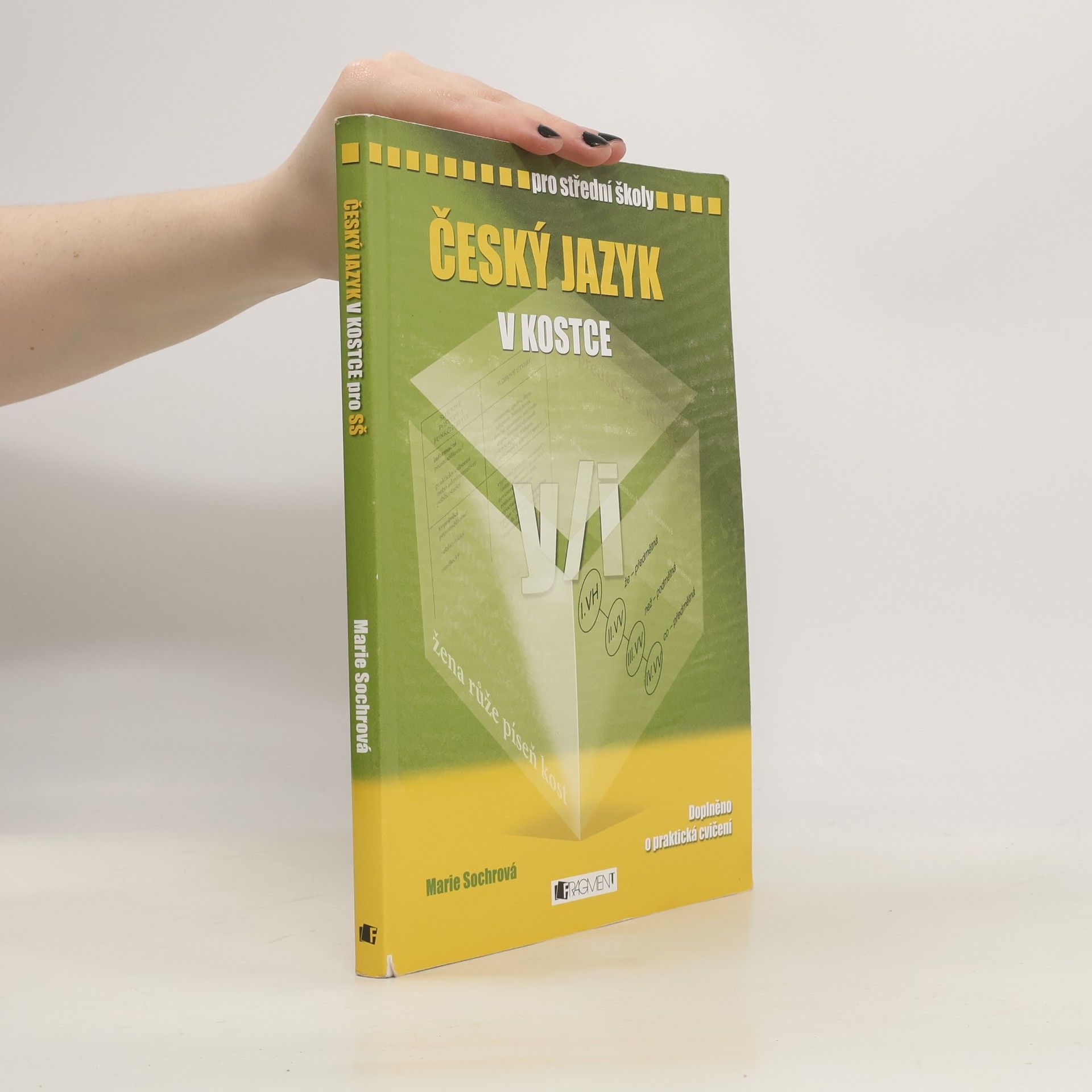 Marie Sochrová Český jazyk v kostce : pro střední školy