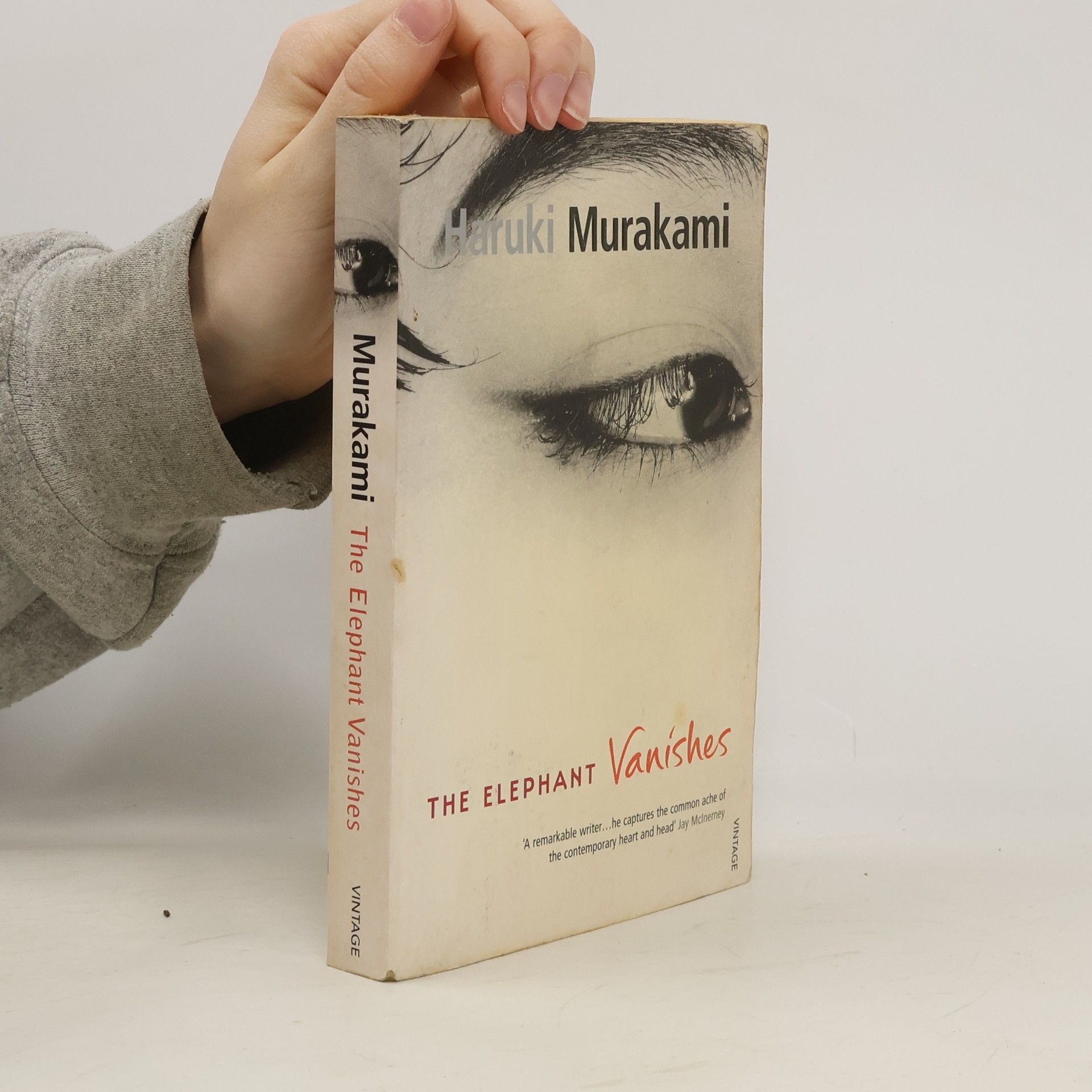 The Elephant Vanishes