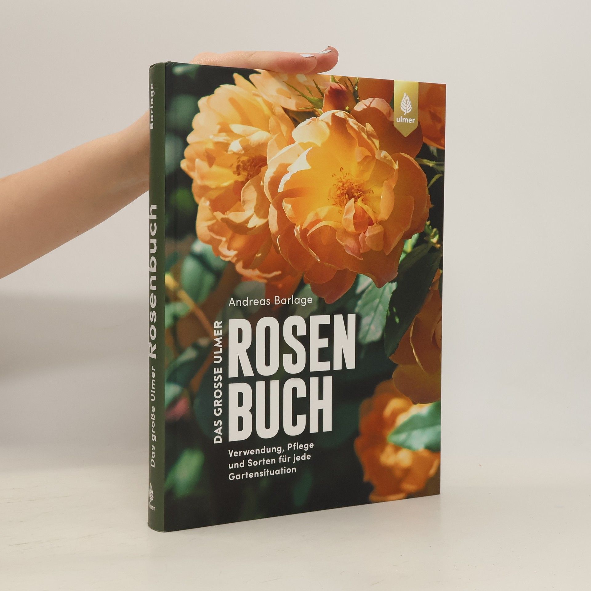 Andreas Barlage Das große Ulmer Rosenbuch