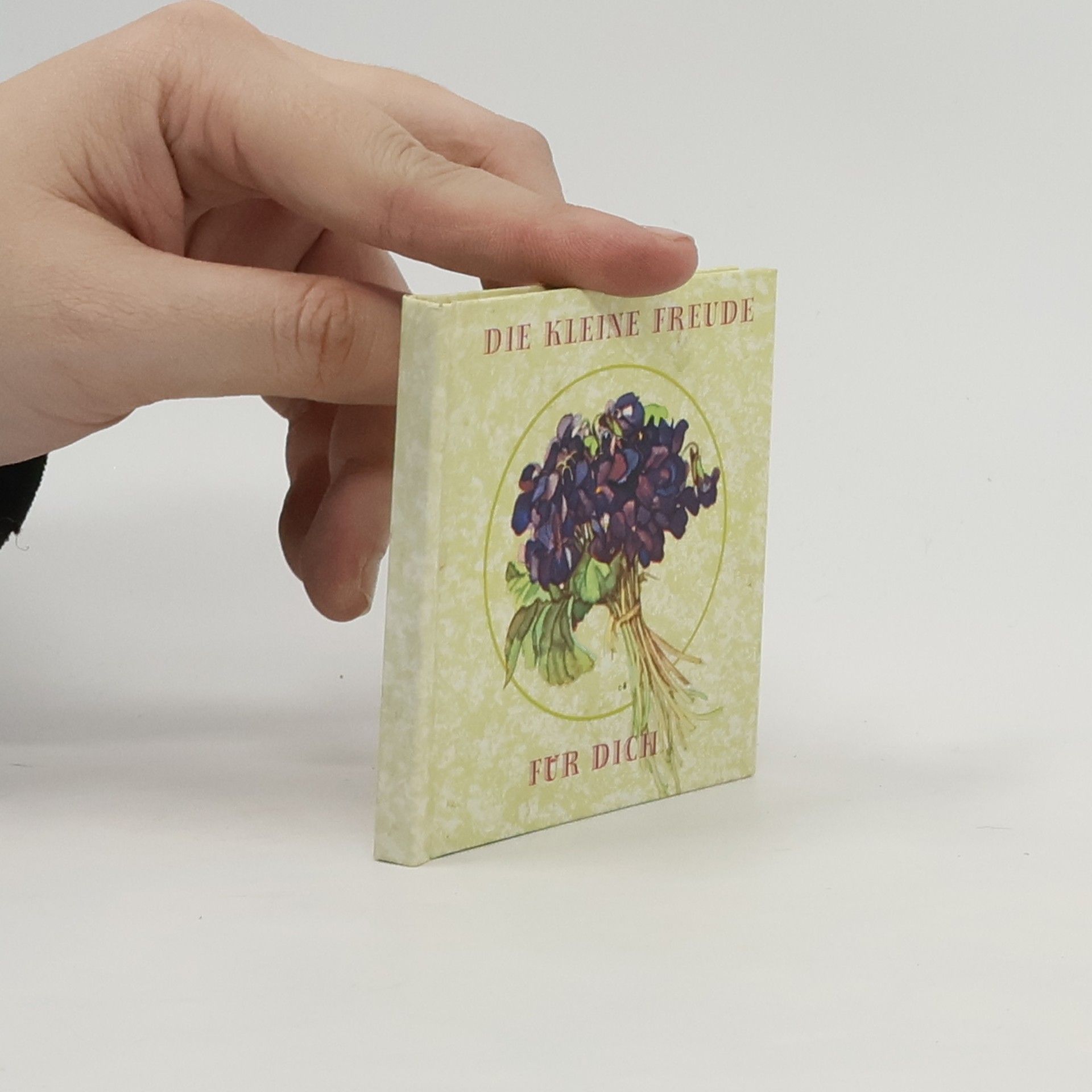 Autorenkollektiv Die kleine Freude für Dich