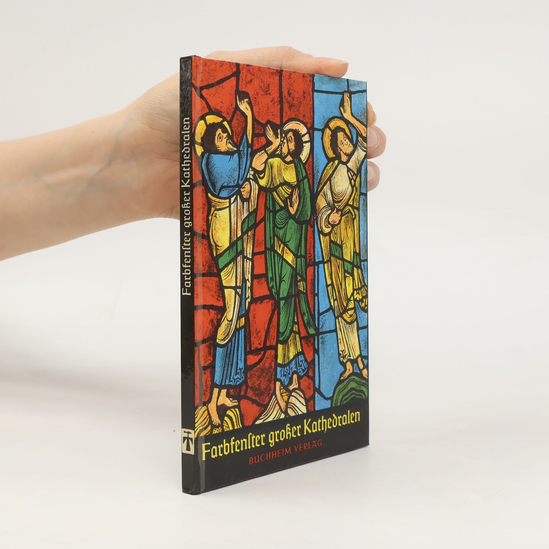 Autorenkollektiv Farbfenster grosser Kathedralen