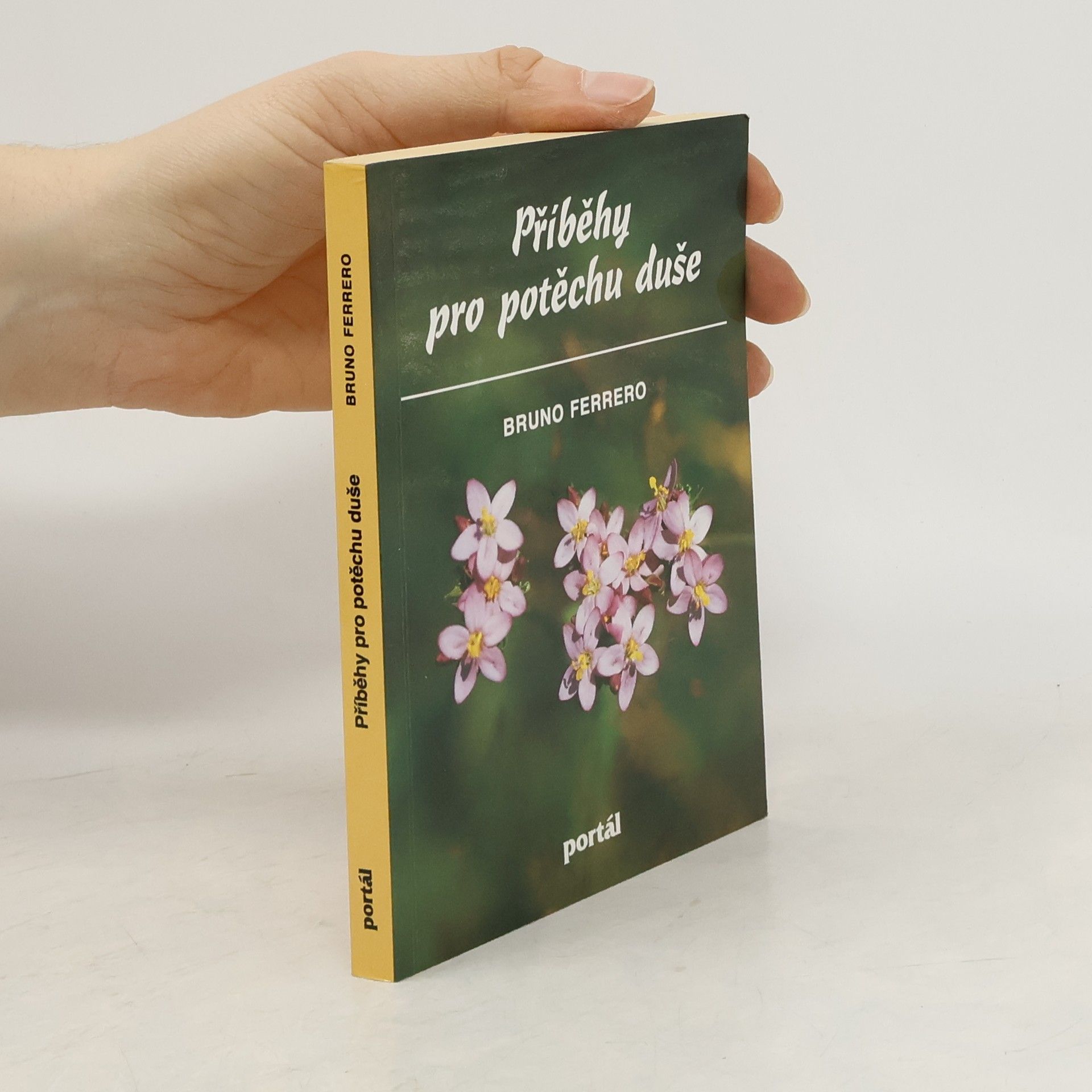 Bruno Ferrero Příběhy pro potěchu duše