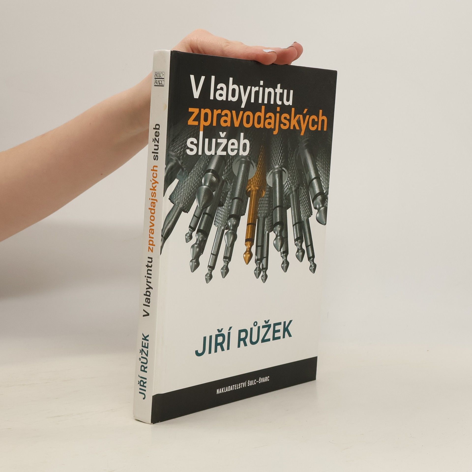 Jiří Růžek V labyrintu zpravodajských služeb