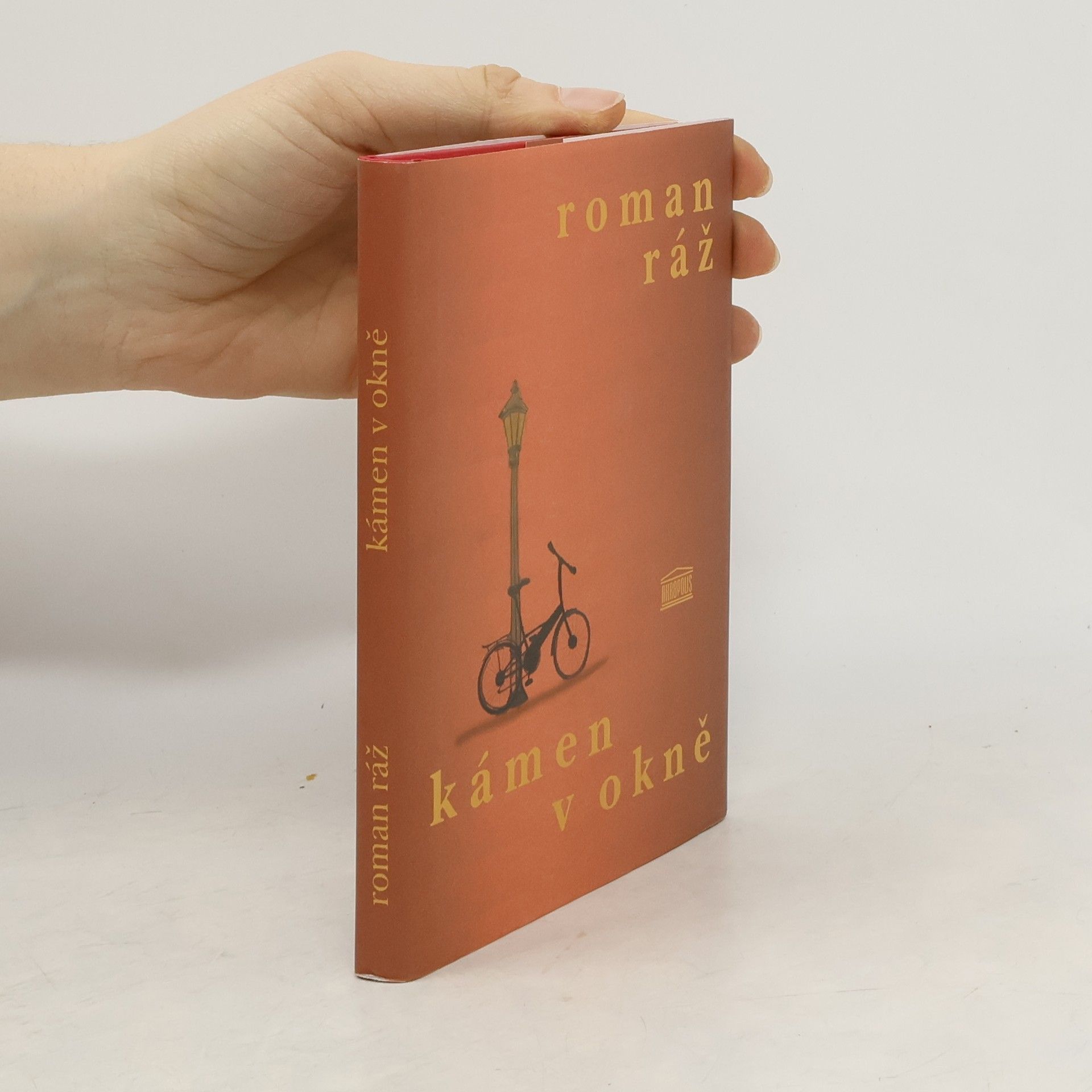 Roman Ráž Kámen v okně