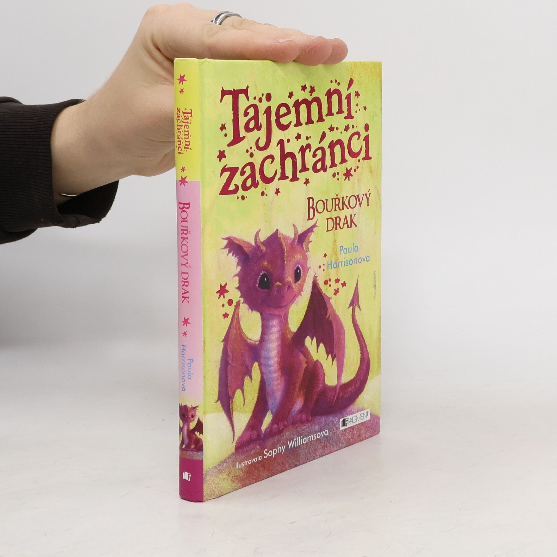 Paula Harrison Tajemní zachránci - Bouřkový drak