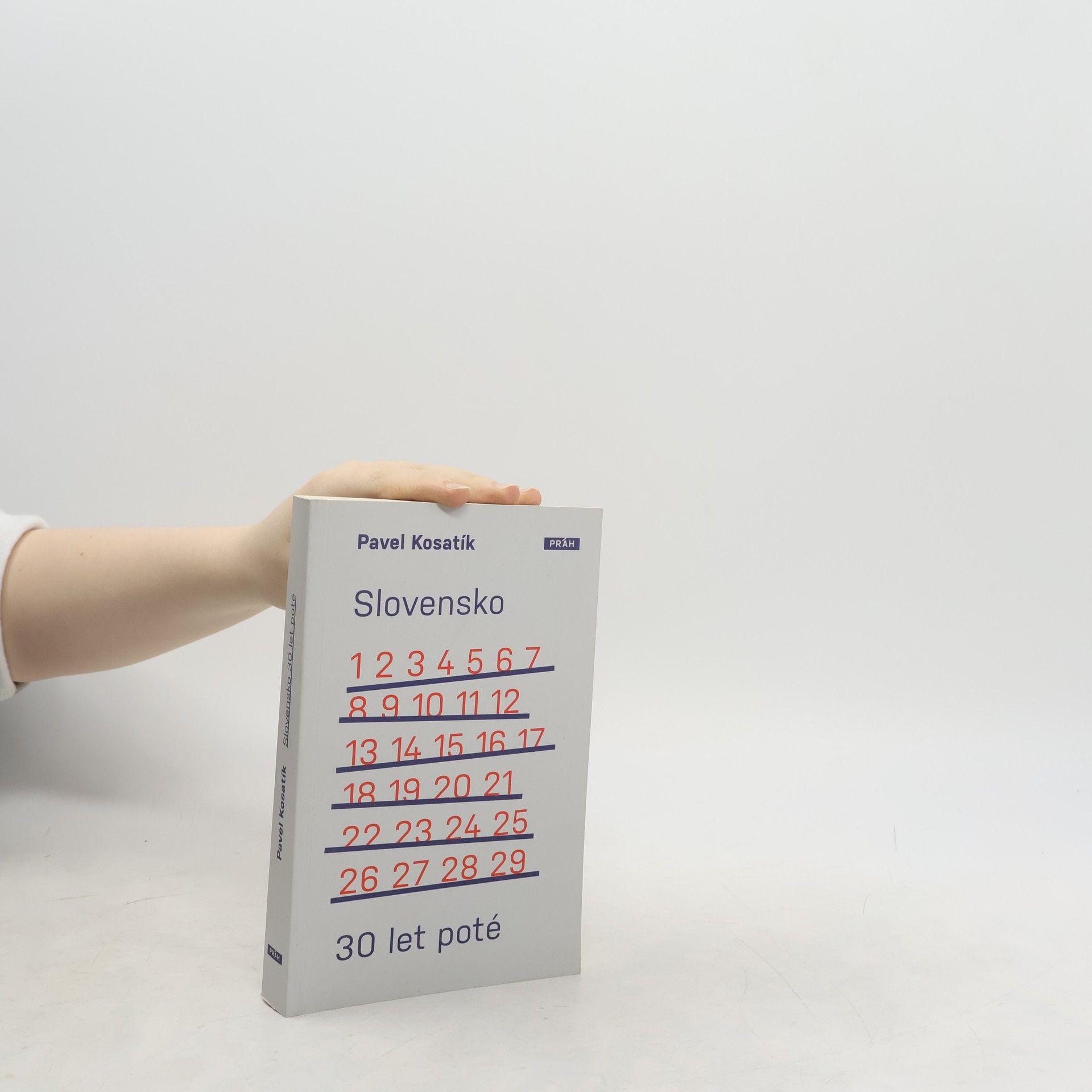 Pavel Kosatík Slovensko třicet let poté