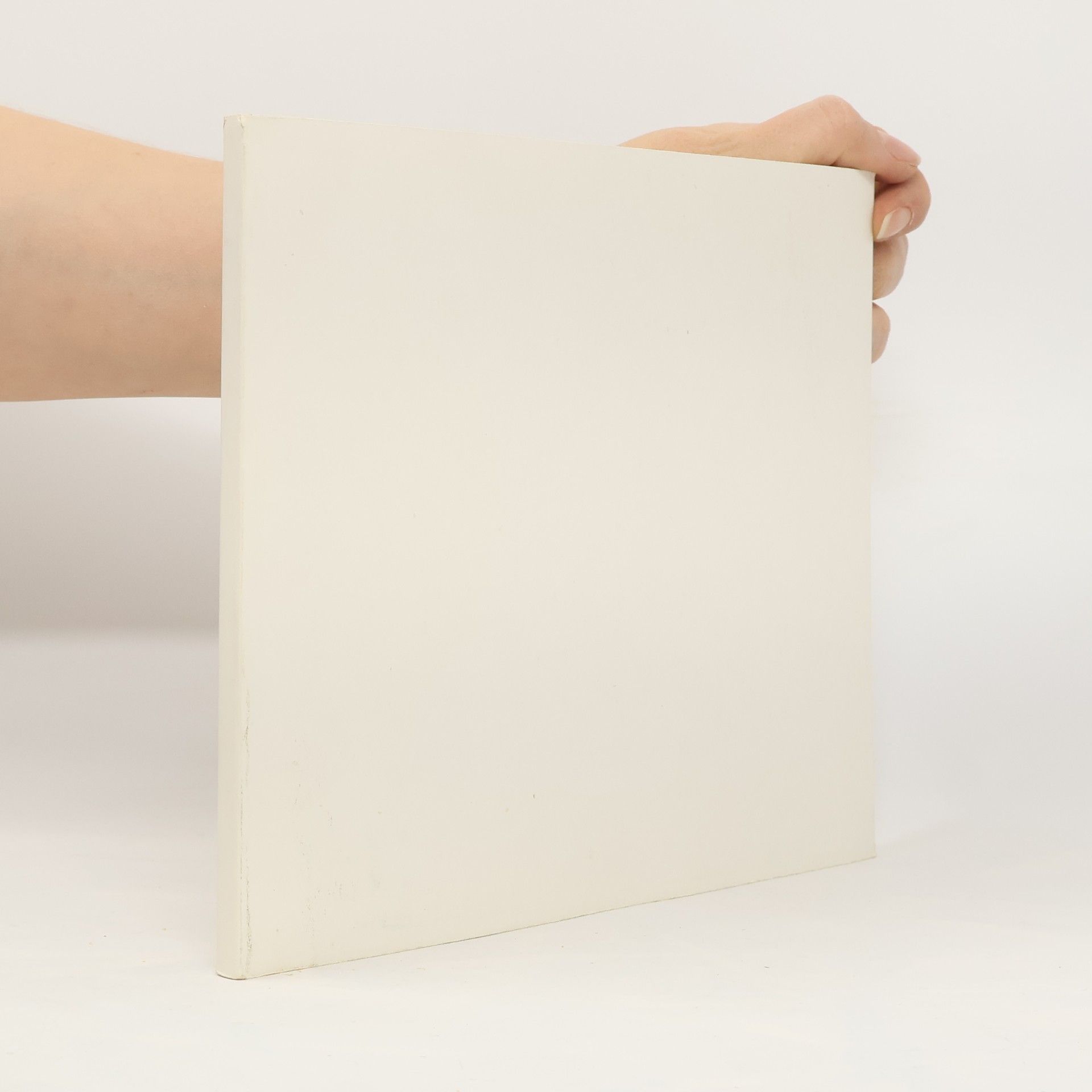 Autorenkollektiv Gemälde des 19. und 20. Jahrhunderts